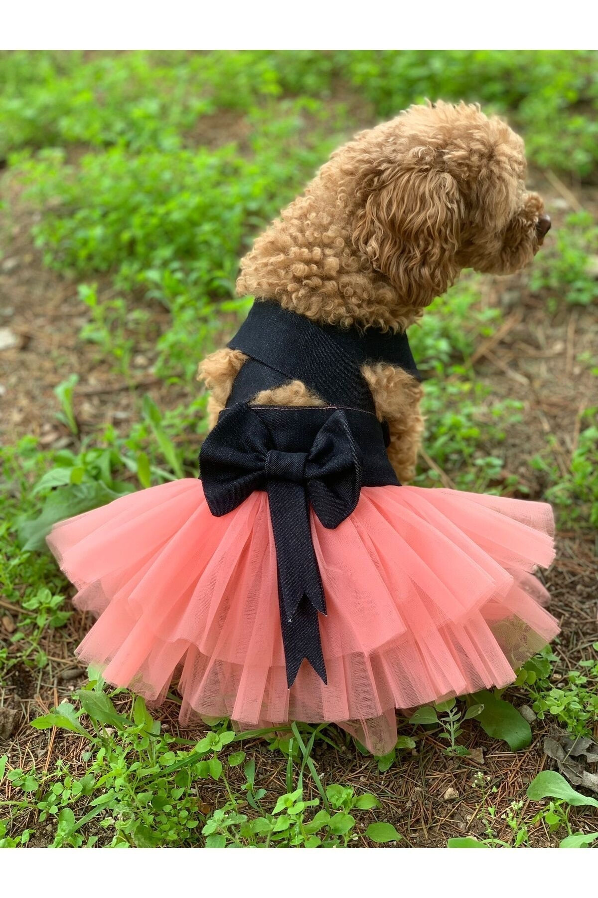لباس توتو جین سگ و گربه آریا پت بوتیک aria pet butik چندرنگ