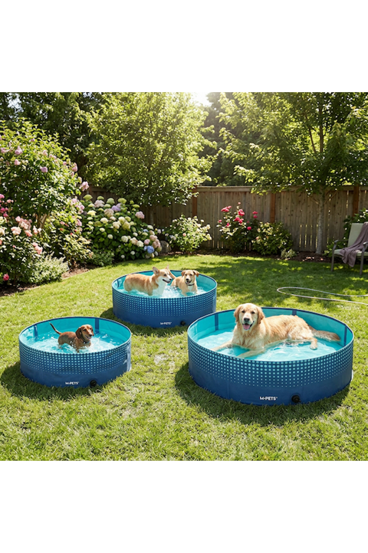 استخر بازی تاشو سگ ام‌پتس M-PETS سری Splash، مدل 10374910، سایز S، آبی