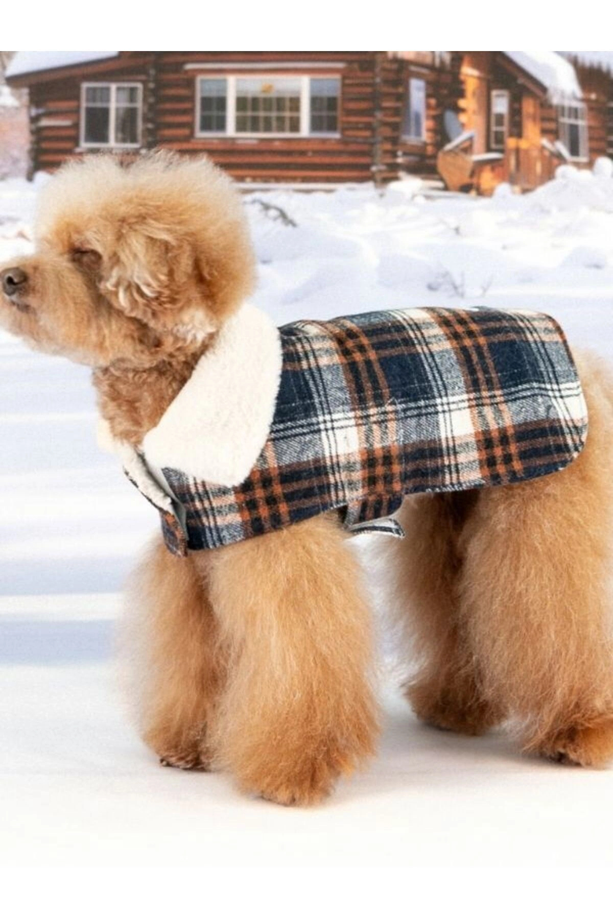 کاپشن سگ پوپیا Puppia Windsor Coat، سرمه‌ای