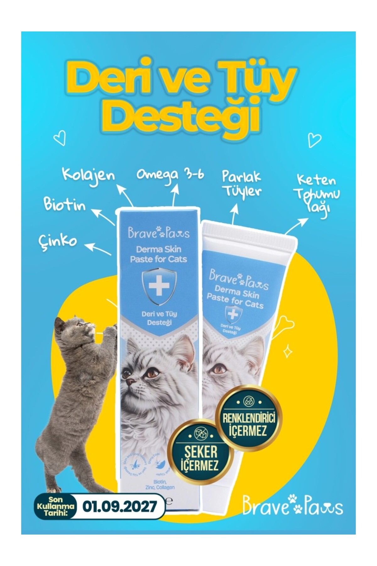 مکمل ویتامین ضد ریزش مو گربه و سگ بریو پاوز BRAVE PAWS Derma Skin، ۱۰۰ گرم، بیوتین و زینک