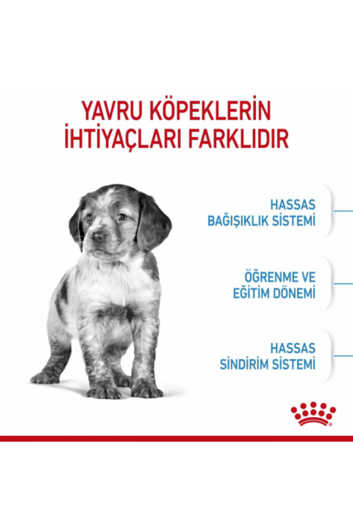 غذای خشک سگ نژاد متوسط رویال کنین Royal Canin، ۱۵ کیلوگرمی