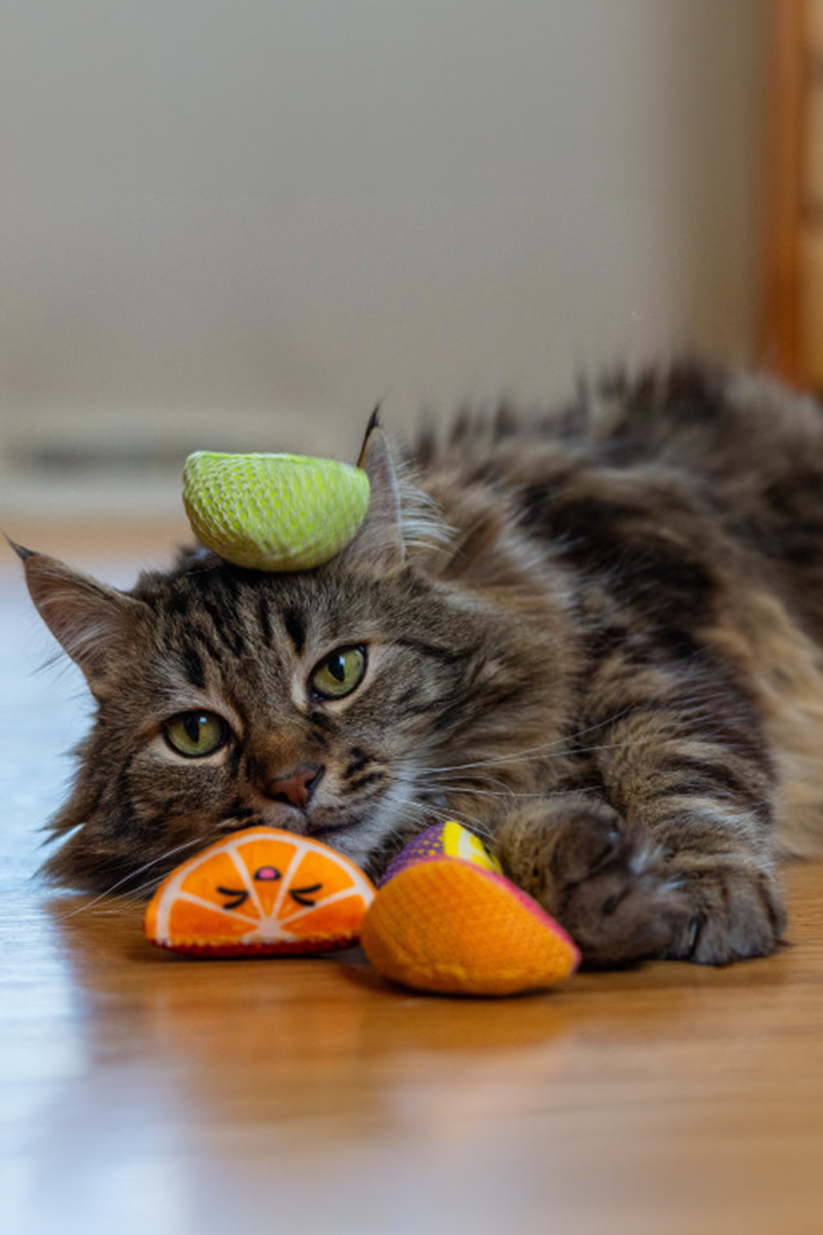 اسباب‌بازی گربه با کت‌نیپ، بسته ۴ عددی، اوت‌وارد هاند Outward Hound Catstages Fruit Wedges چندرنگ