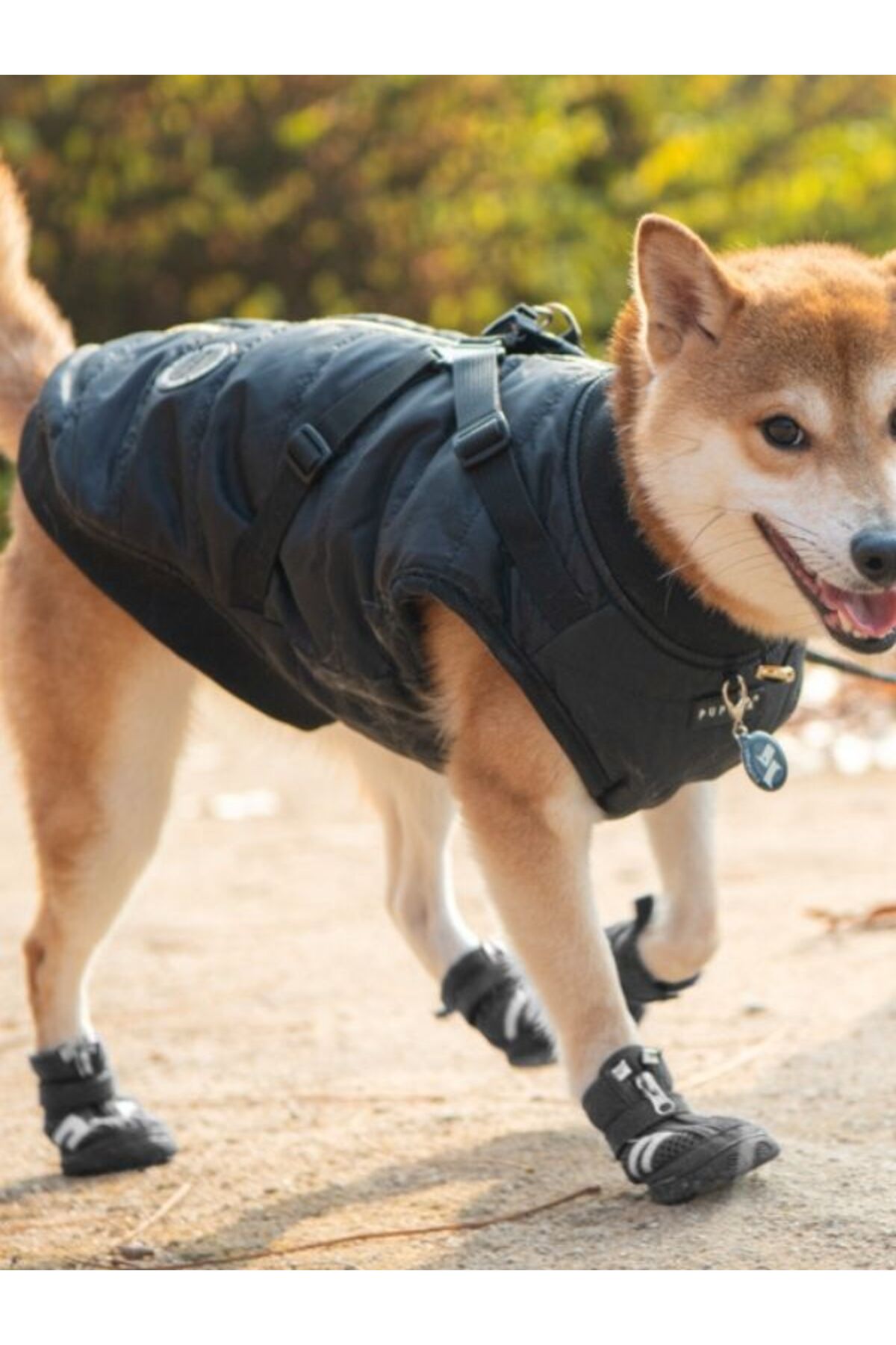 کفش سگ پوپیا Puppia HIKER (B type)، مدل PAMD-SH065، مشکی