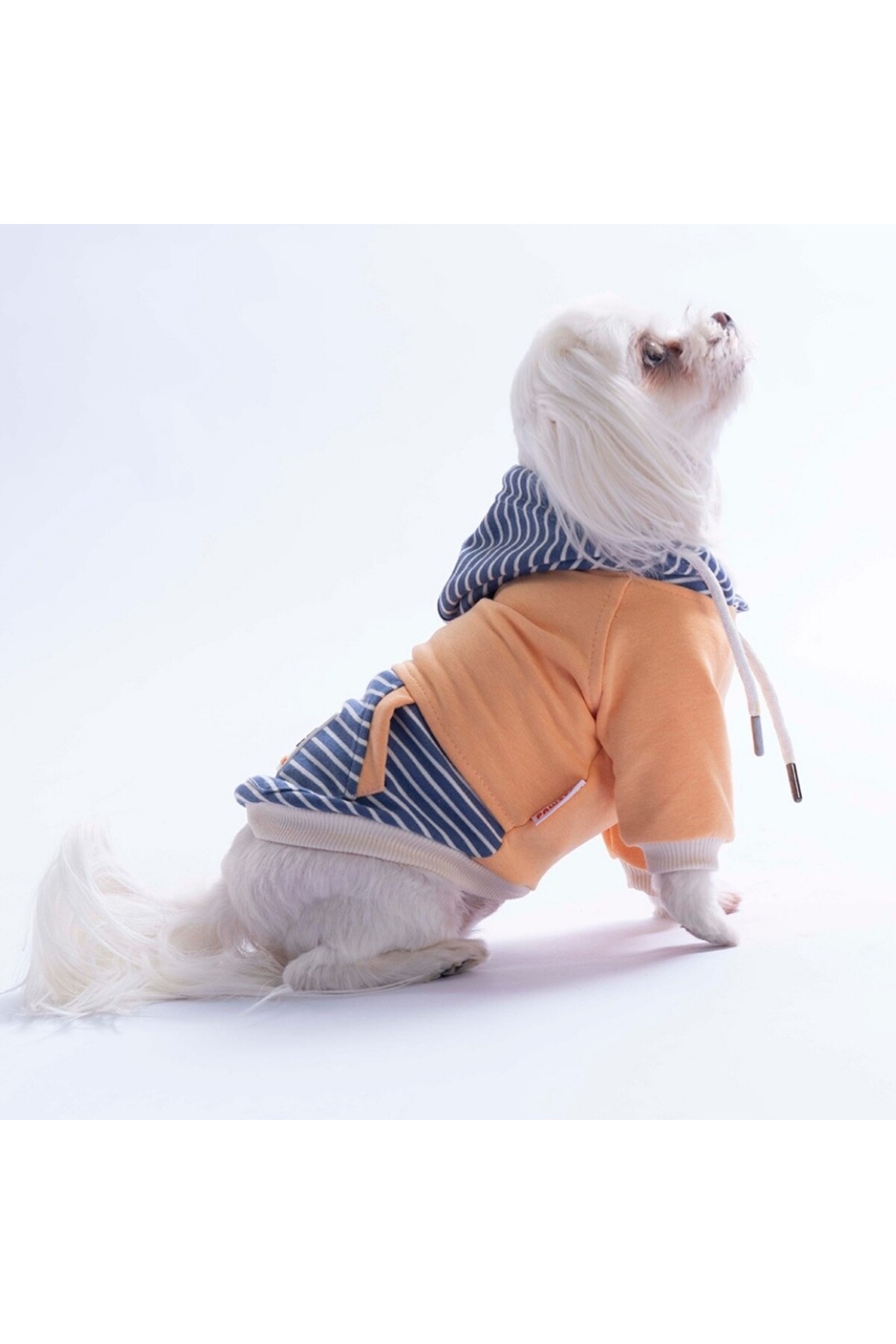 هودی سگ راه‌راه پاواستار Pawstar مدل PS26-1149 نارنجی