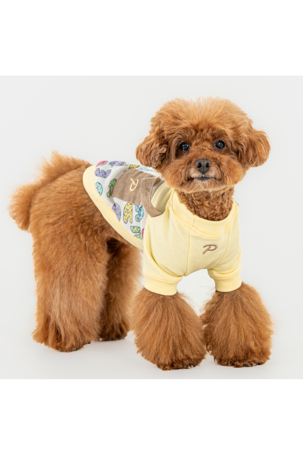 لباس سگ بنددار پوپیا Puppia Maisy زرد