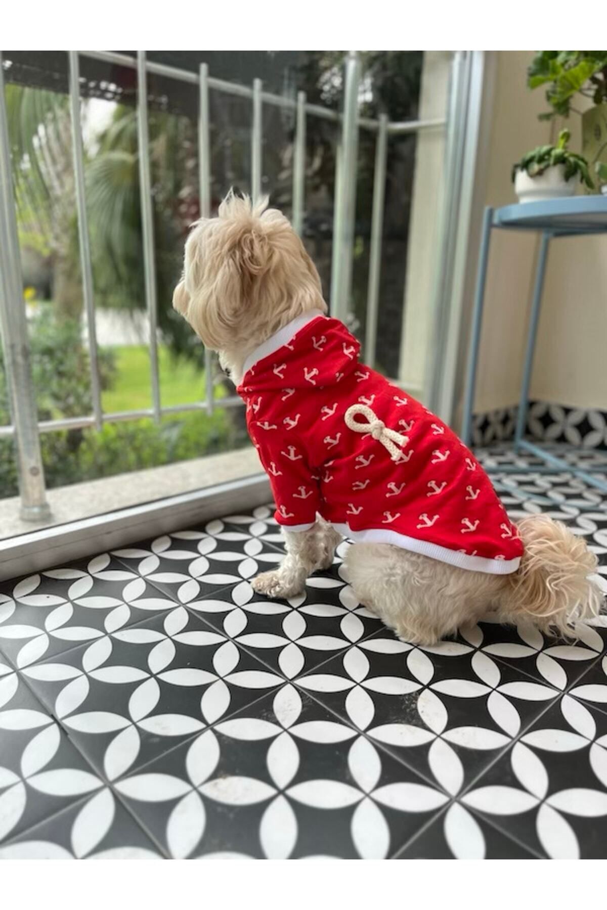 سویشرت سگ میس دیزی پت بوتیک Miss Daisy Pet Boutique مدل MDKD01، قرمز با تم دریانوردی