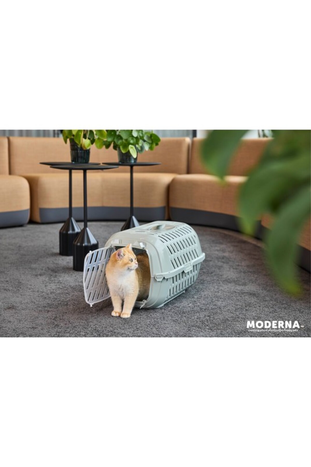 کیف حمل گربه و سگ مدرنا Moderna Aventro، خاکستری روشن