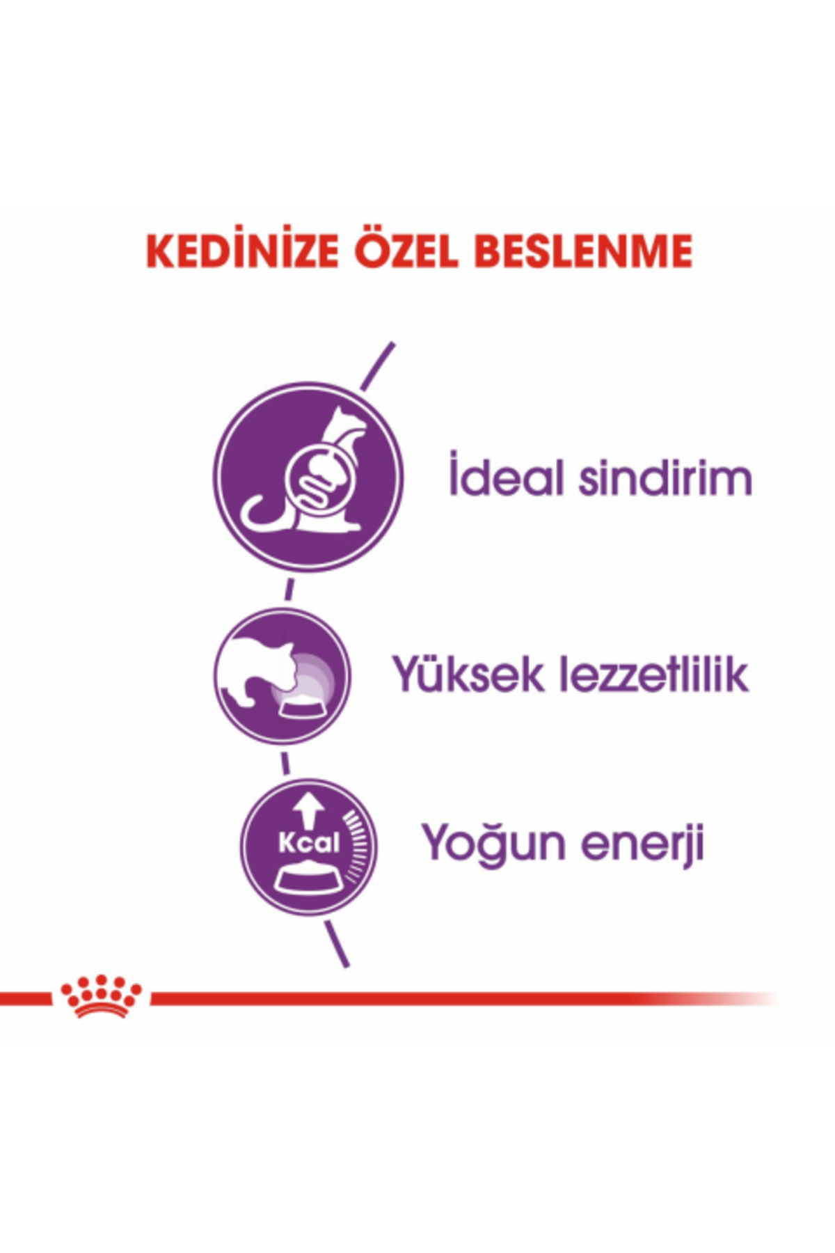 غذای خشک گربه بالغ حساس Sensible 33 رویال کنین Royal Canin، ۱۰ کیلوگرم