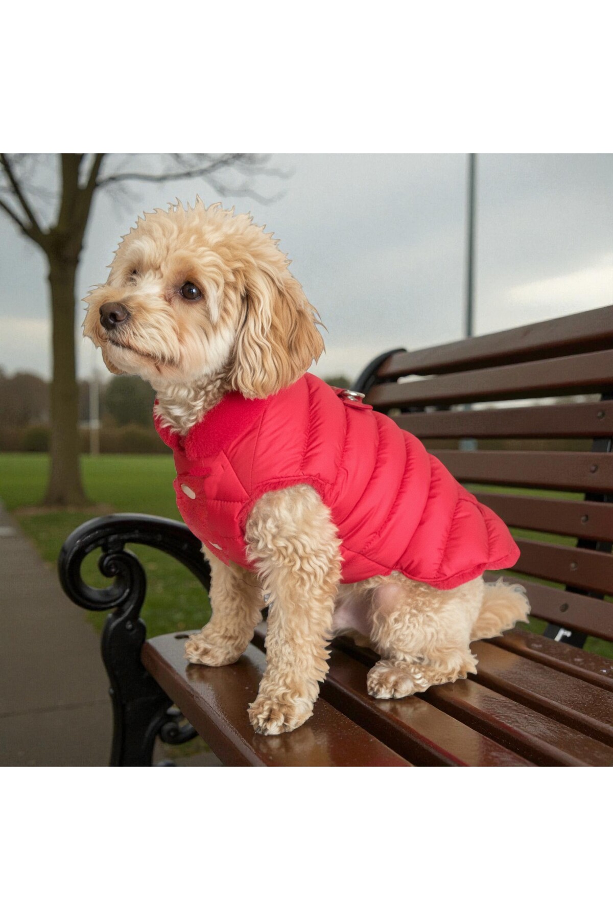 کاپشن پف‌دار سگ لولو د اربن پاپ Lulu The Urban Pup مدل LTUP5000، قرمز