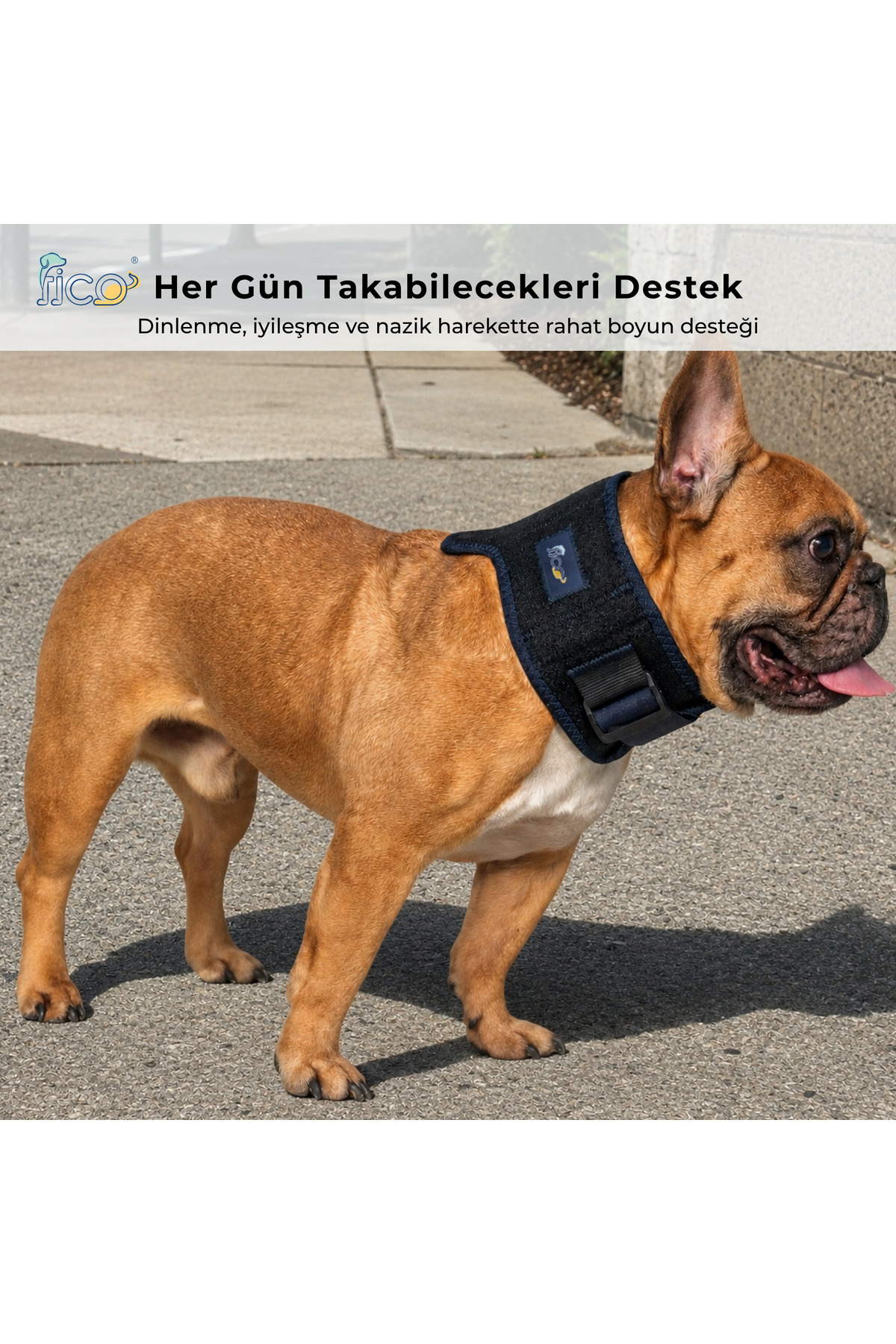 ارتز و گردنبند محافظ گردن سگ فیکو پتس Fico Pets سرمه‌ای