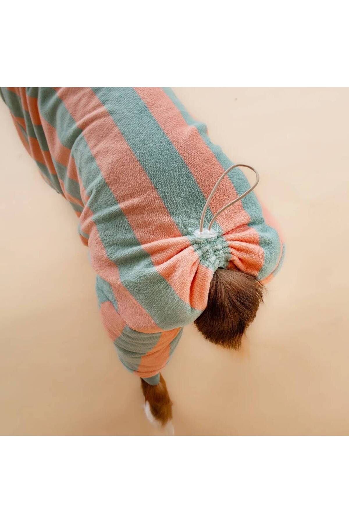 لباس خشک‌کن یک‌تکه سگ بارکی ازمیر Barkie İzmir Soft Rituals زرد