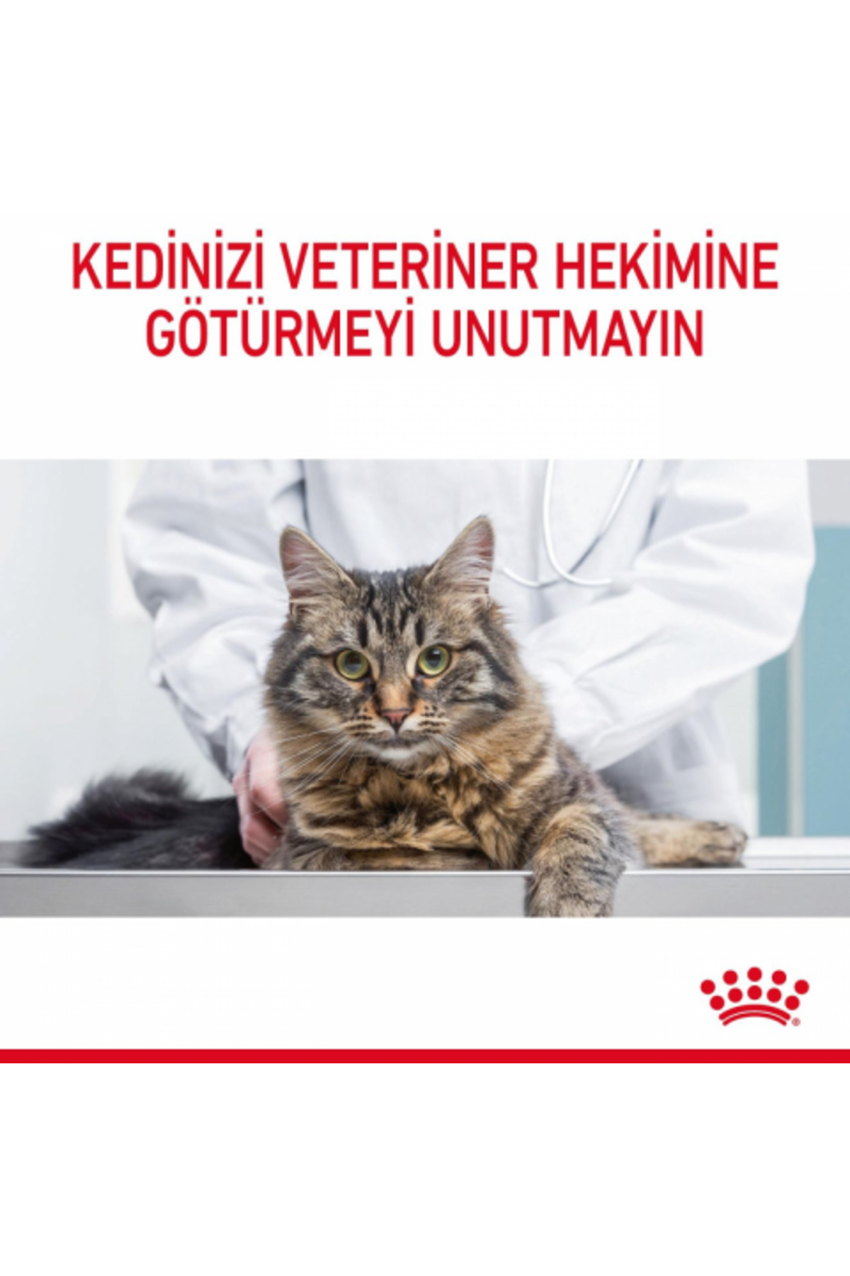 غذای مرطوب گربه بالغ رویال کنین Royal Canin Intense Beauty Gravy Pouch، ۸۵ گرم
