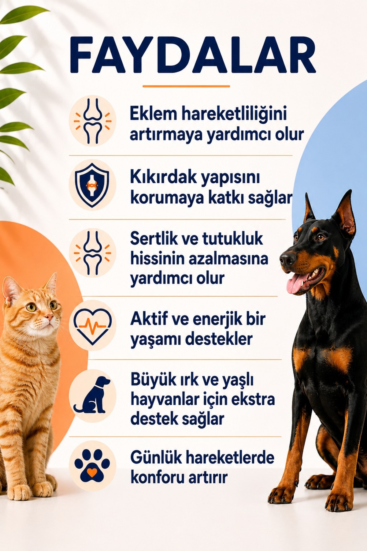 بسته سلامت گربه پابی پت کلاب Poby Pet Club، روغن ماهی، PlusB، قرص و خمیر، مدل SaglikPaketi-kediler