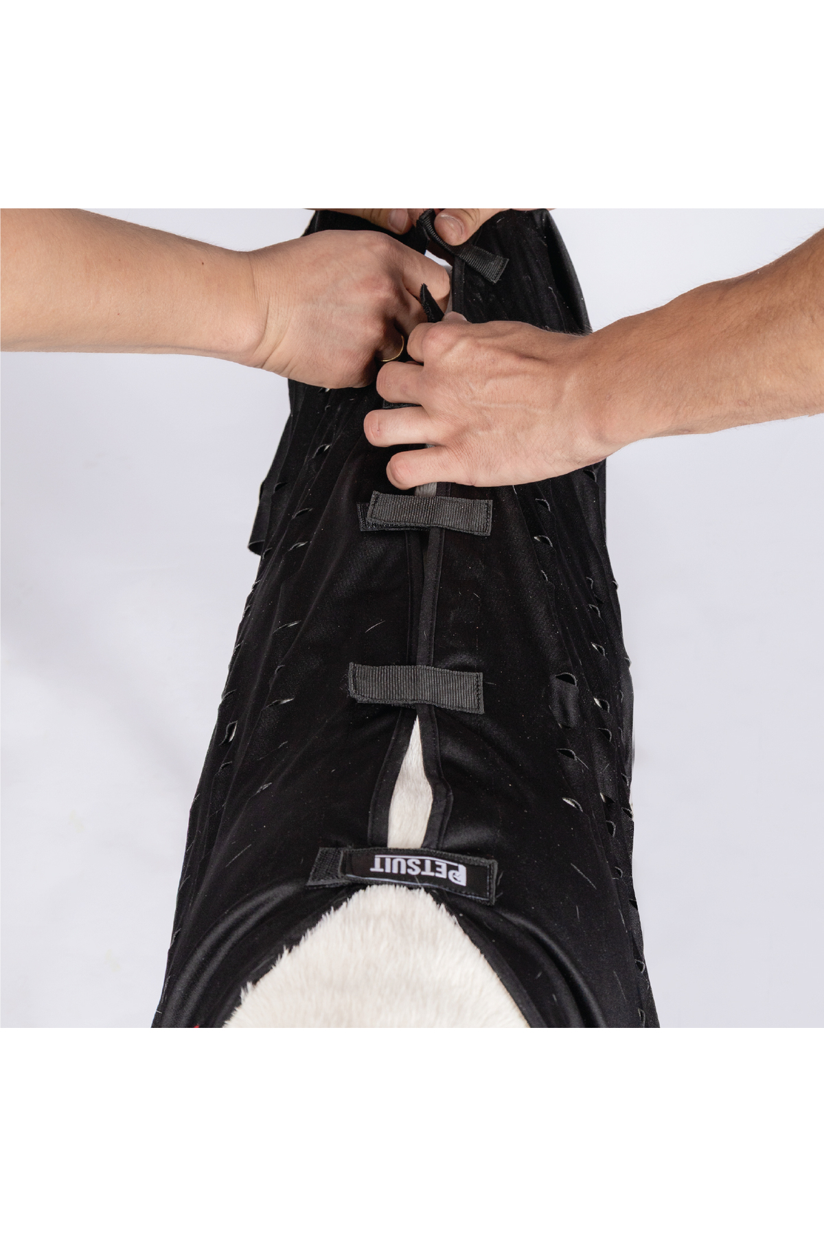 لباس محافظ زخم سگ و گربه پت‌سویت Petsuit، مدل YKK-S، مشکی