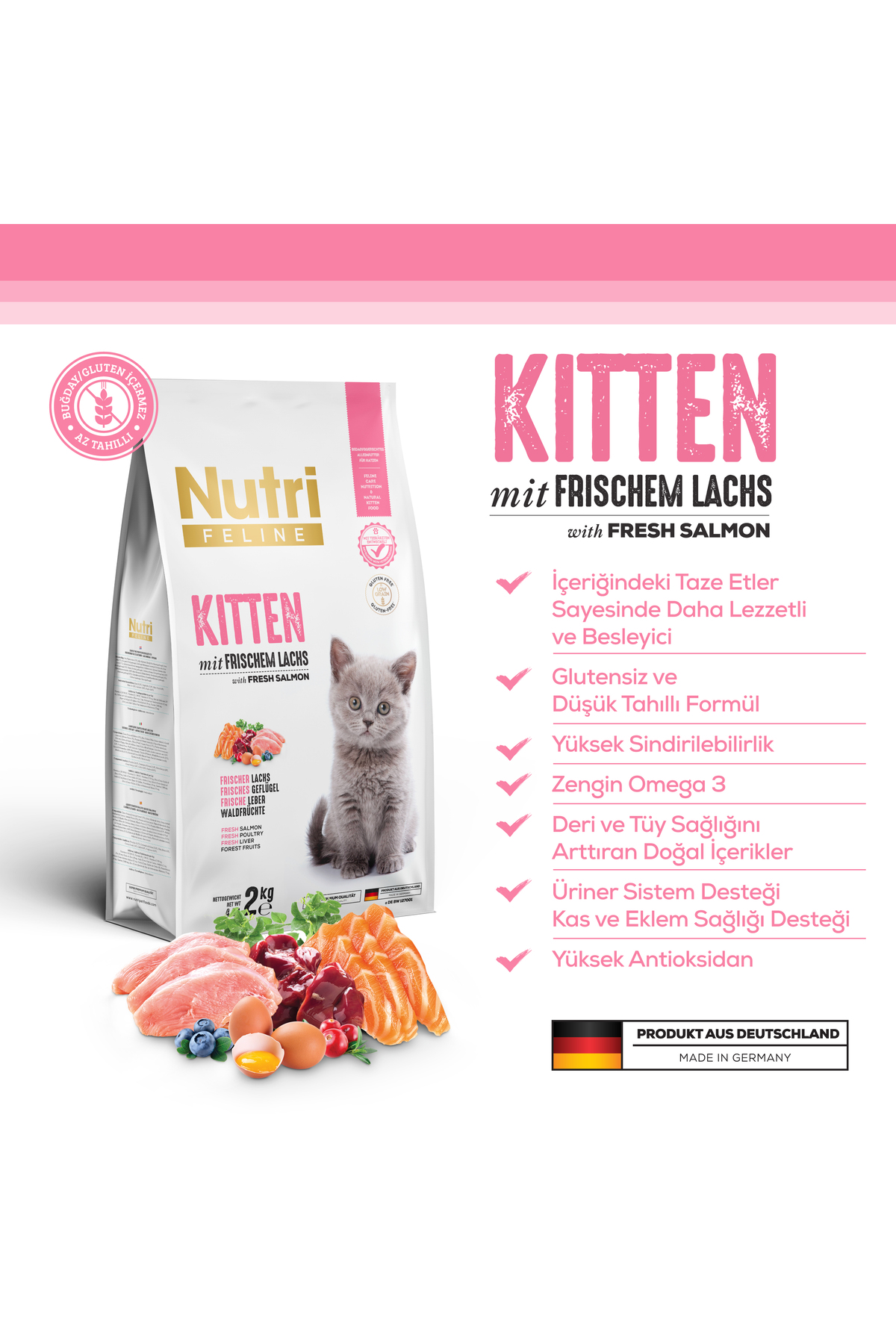 غذای خشک بچه‌گربه نوتری فیلین nutrifeline (Nutri Feline) با سالمون تازه، بدون گلوتن، ۲ کیلوگرم