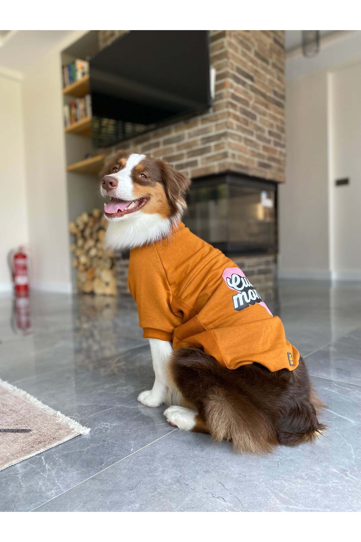 سویشرت سگ Cuddle Monster از مجموعه I am.. Sweatshirts Collection، آسکی‌اندارد Asky&Erd، رنگ دارچینی