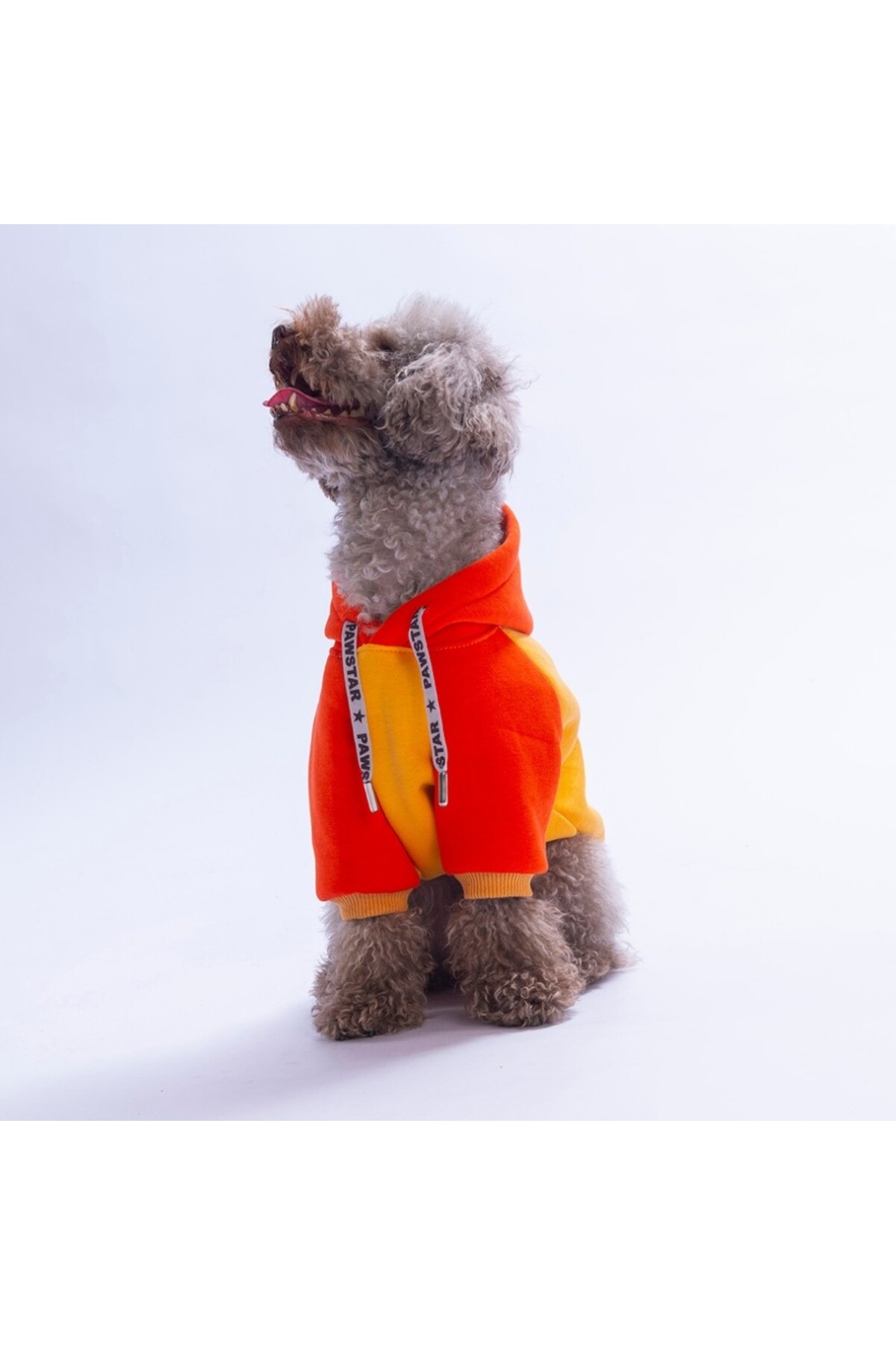 هودی سگ پاوستار Pawstar Vermont Autumn، نارنجی، مدل PS26-1178