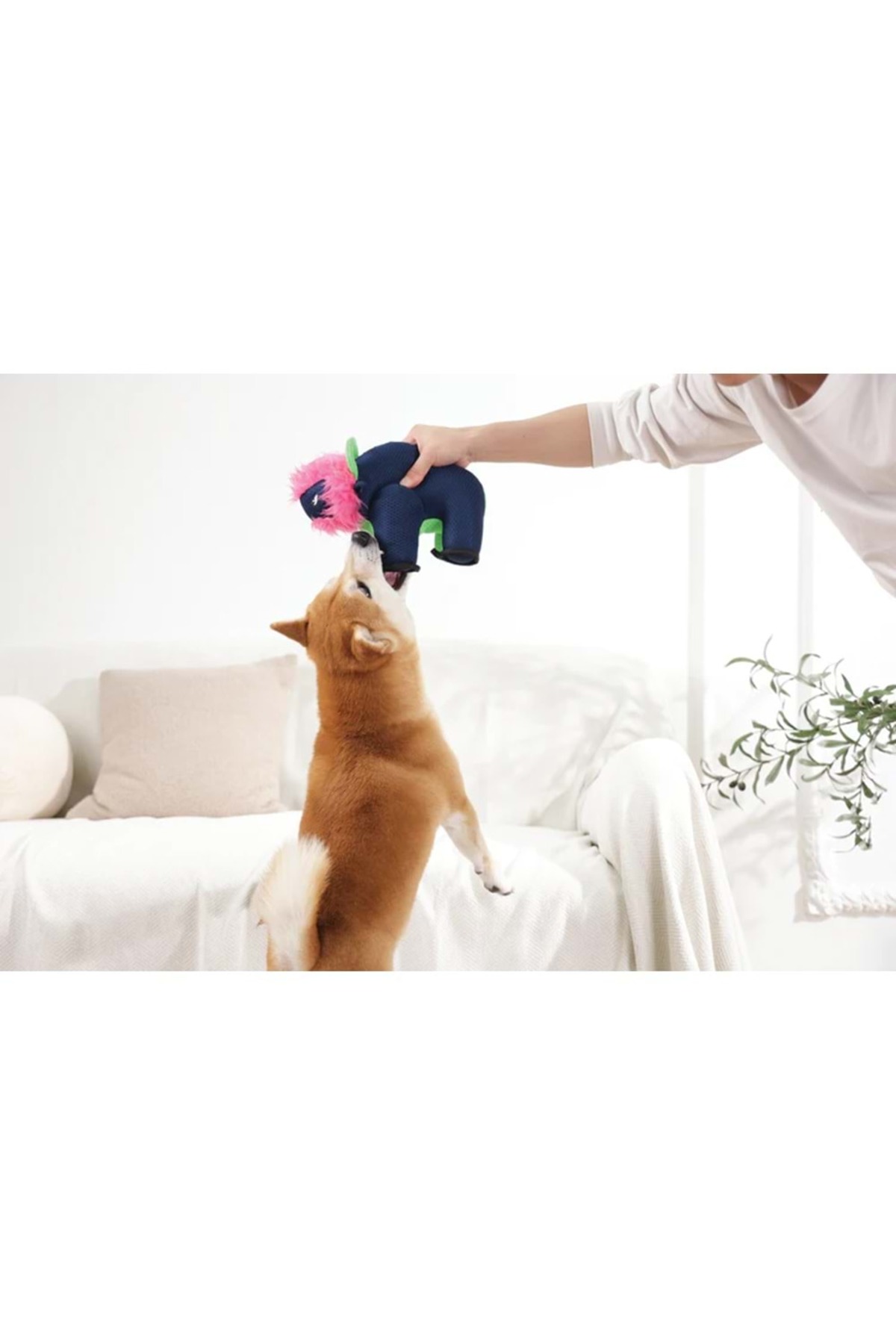 اسباب‌بازی سگ ام‌پتس M-PETS مدل MEGA BUFFALO چندرنگ