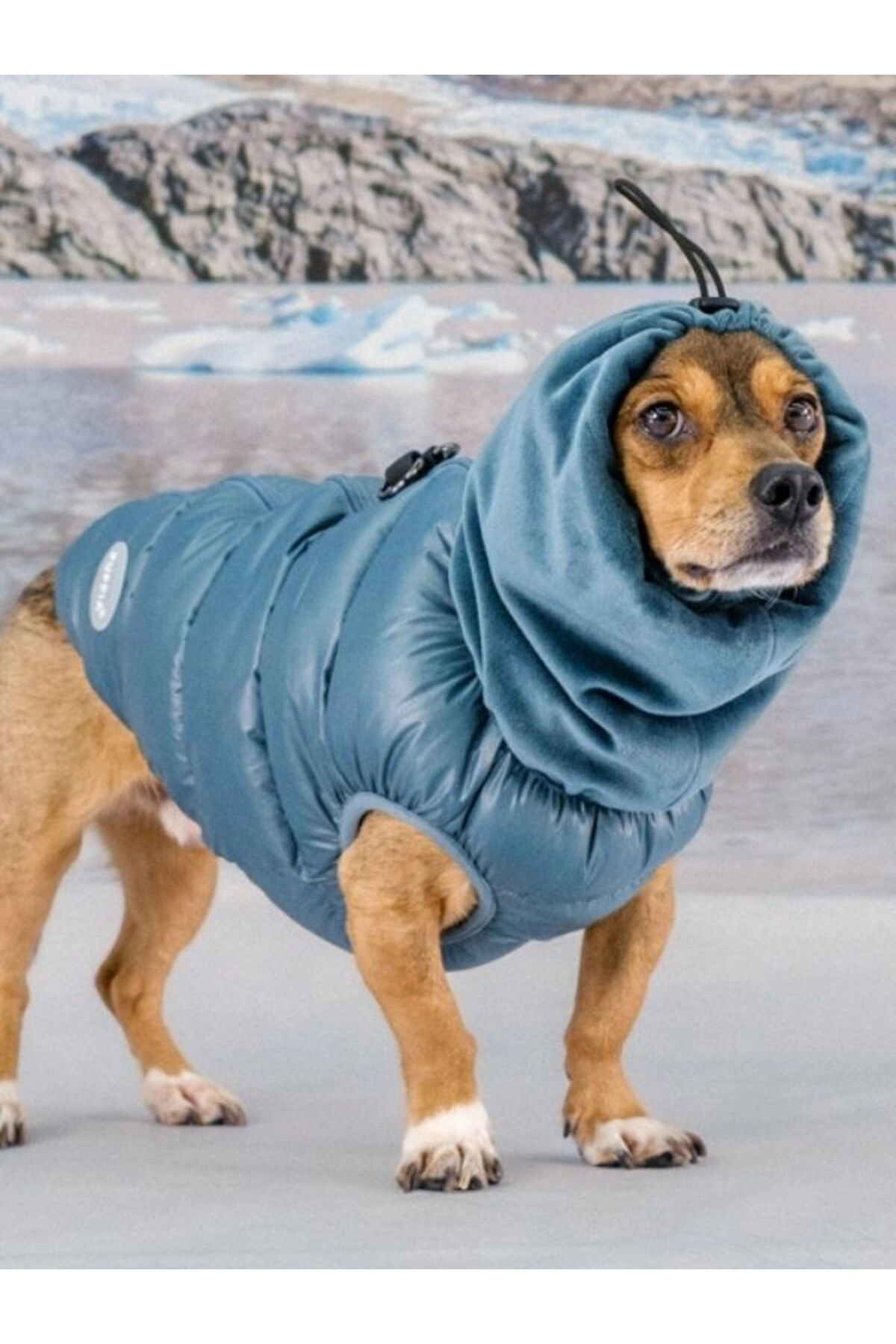 جلیقه پفی سگ پوپیا Puppia Glacier Snood، مدل PAZD-UV2261 فیروزه‌ای