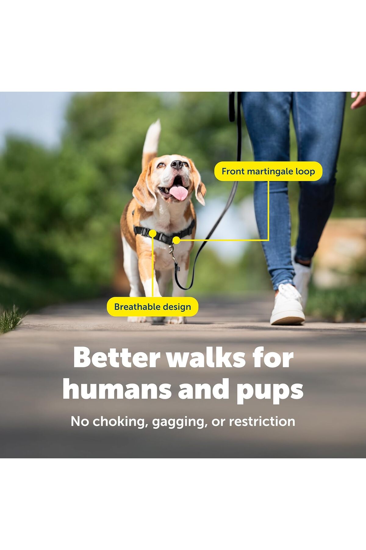 قلاده سگ پت‌سیف PetSafe Easy Walk مدل B001TRF3SC، مشکی