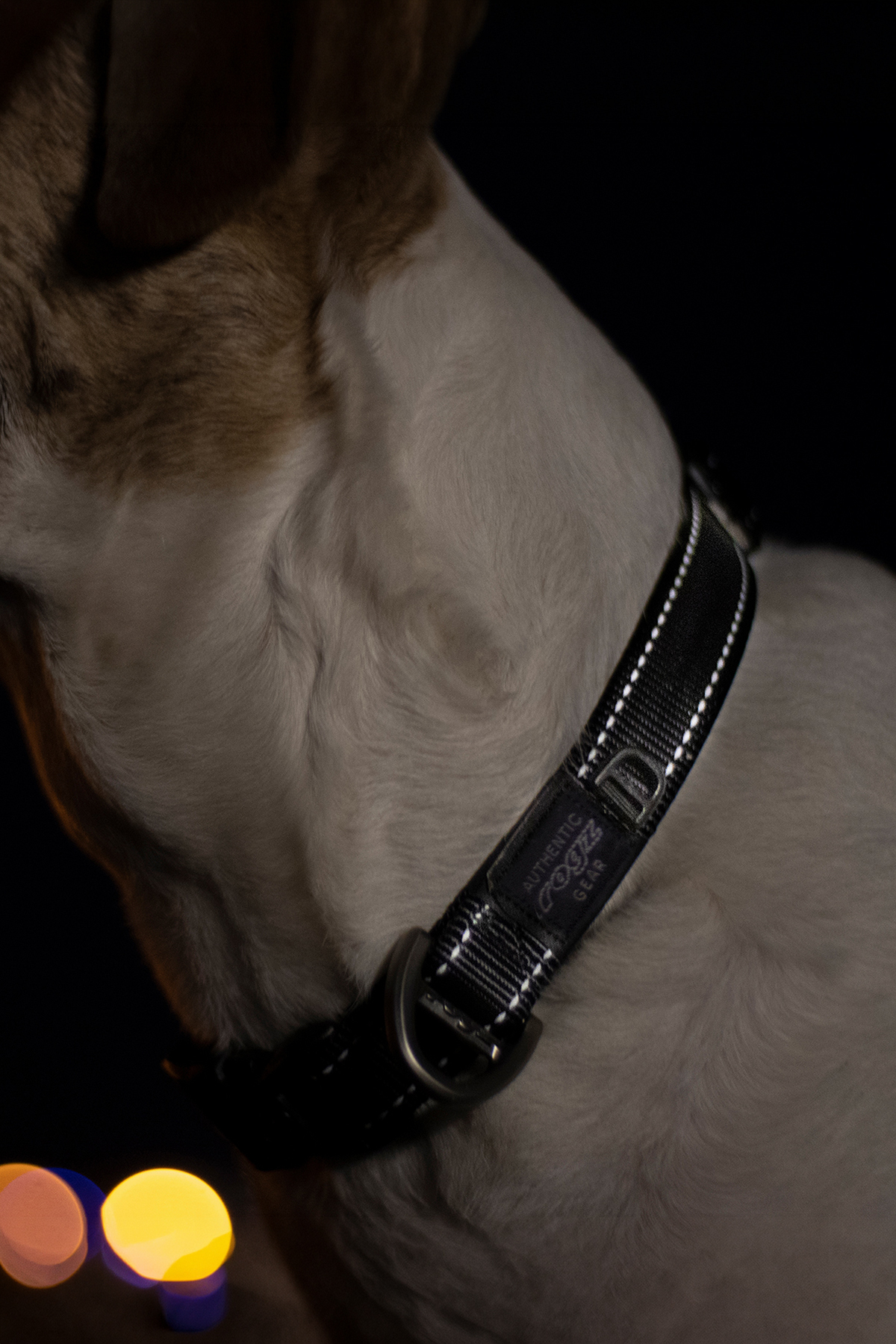 قلاده گردنی سگ راگز Rogz مدل Utility Collar، مشکی