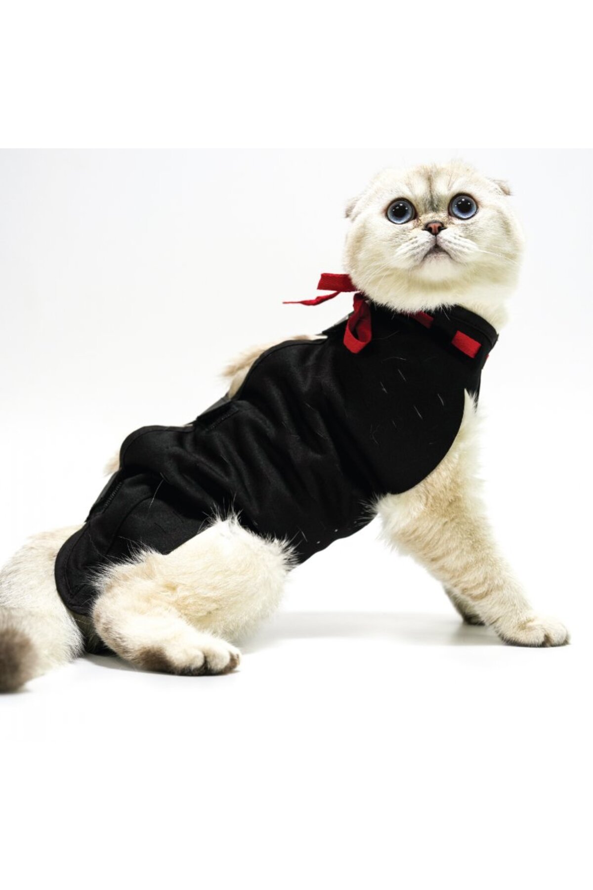 لباس محافظ زخم سگ و گربه پت‌سویت Petsuit، مدل YKK-S، مشکی
