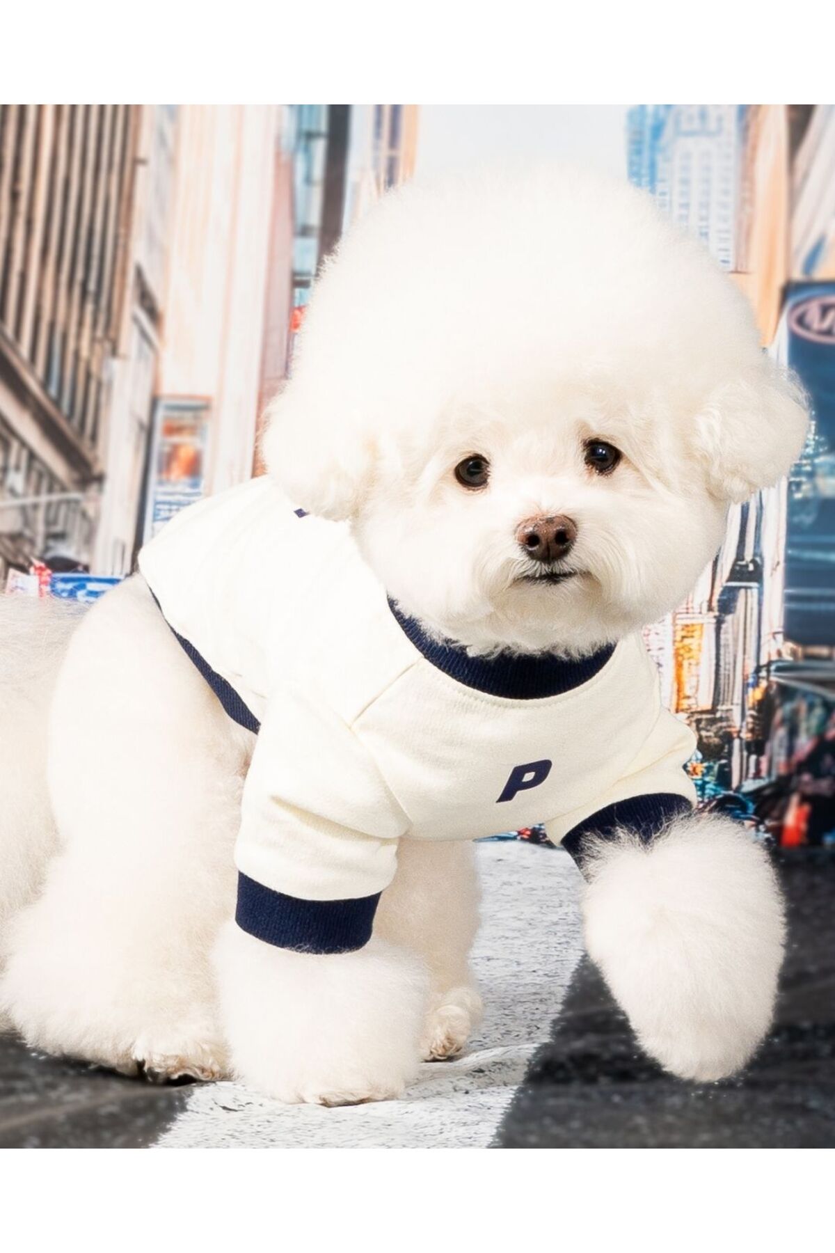 لباس سگ Ivy، سرمه‌ای، پوپیا Puppia
