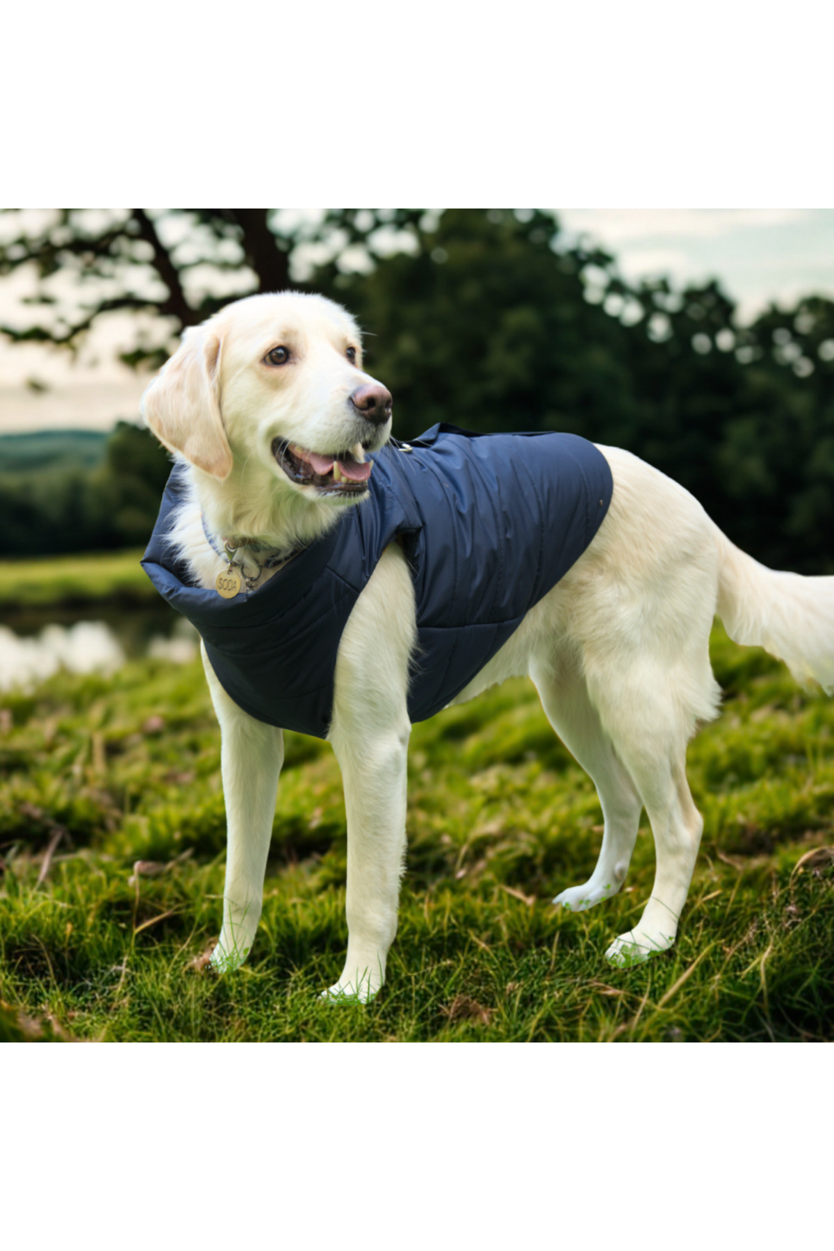 کاپشن پافر سگ لولو د اربن پاپ Lulu The Urban Pup، Urban Navy Puffer، سرمه‌ای