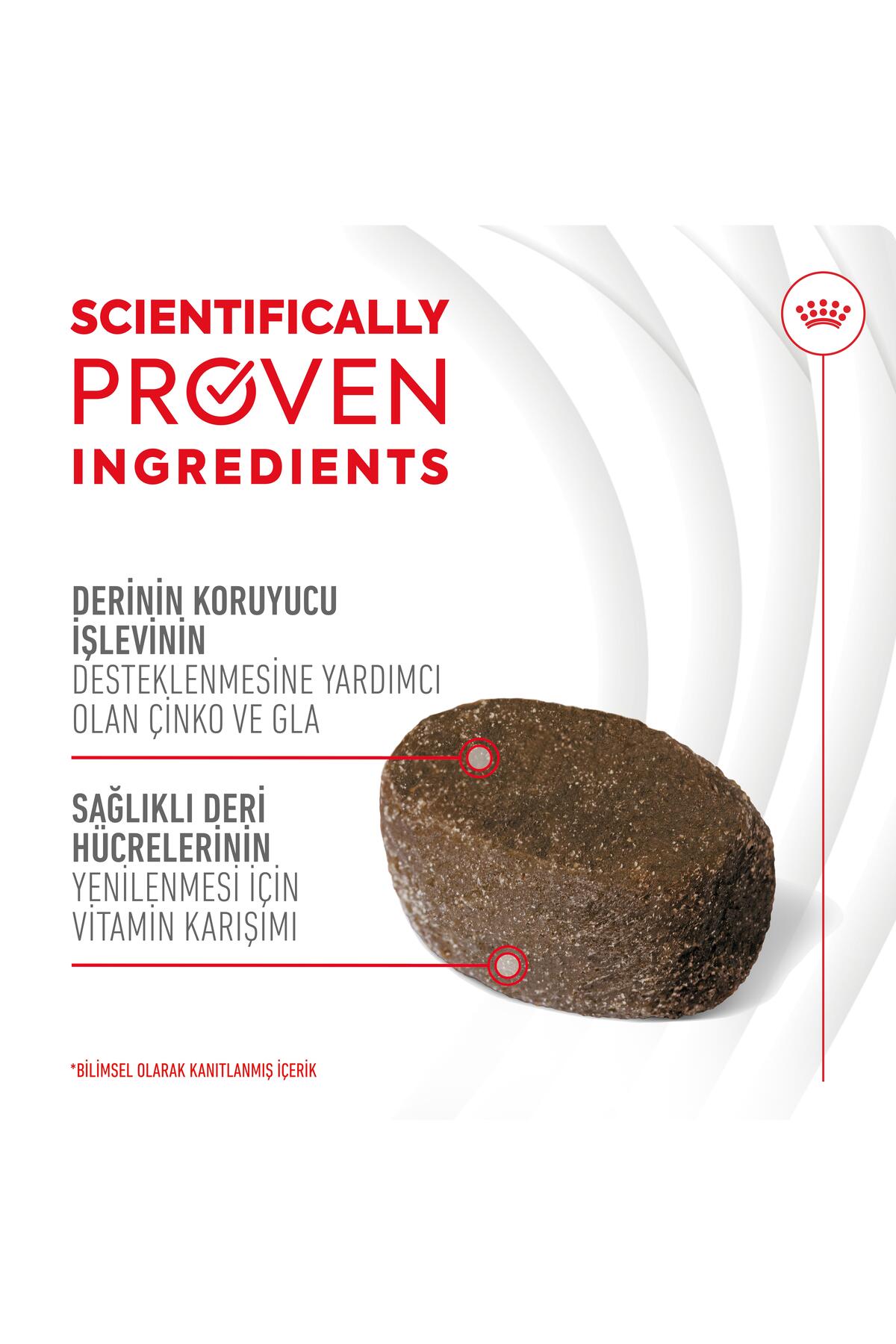 تشویقی مکمل سگ رویال کنین Royal Canin Skin&Coat، ۲۴۰ گرم