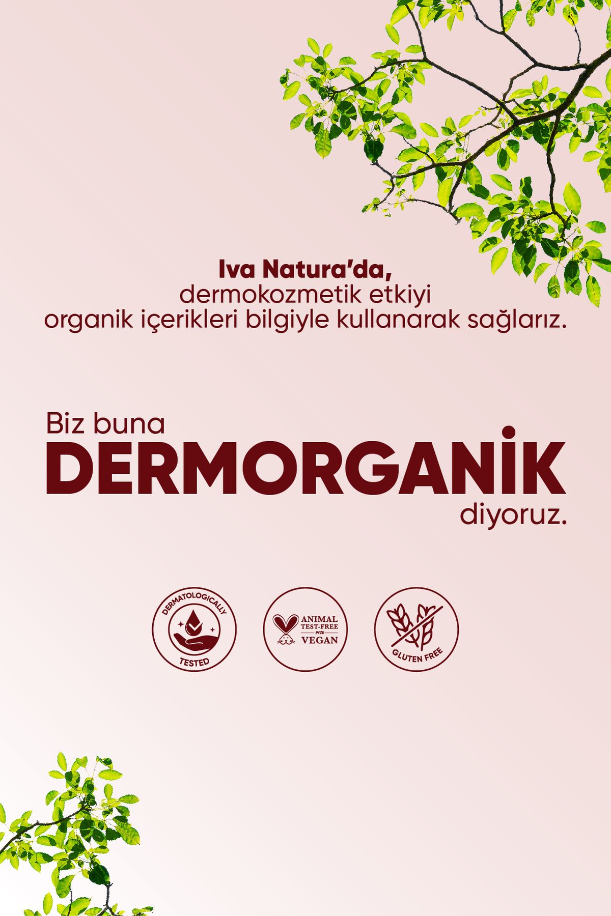 سرم پوست ضد پیری با پپتید حجم 30 میلی لیتر Iva Natura