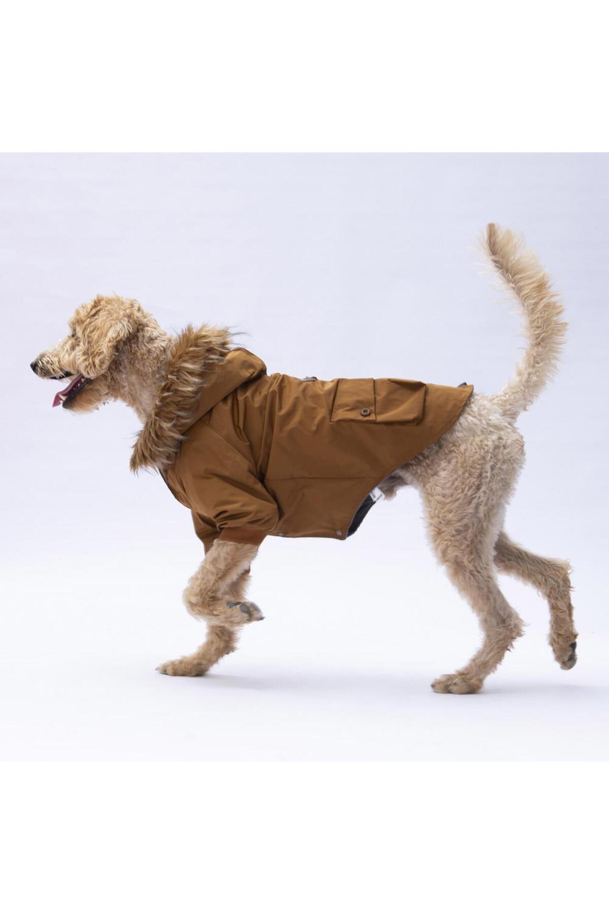 کاپشن و بارانی سگ نژاد بزرگ پاواستار Pawstar Camel Charles مدل BPS24-1034، قهوه‌ای