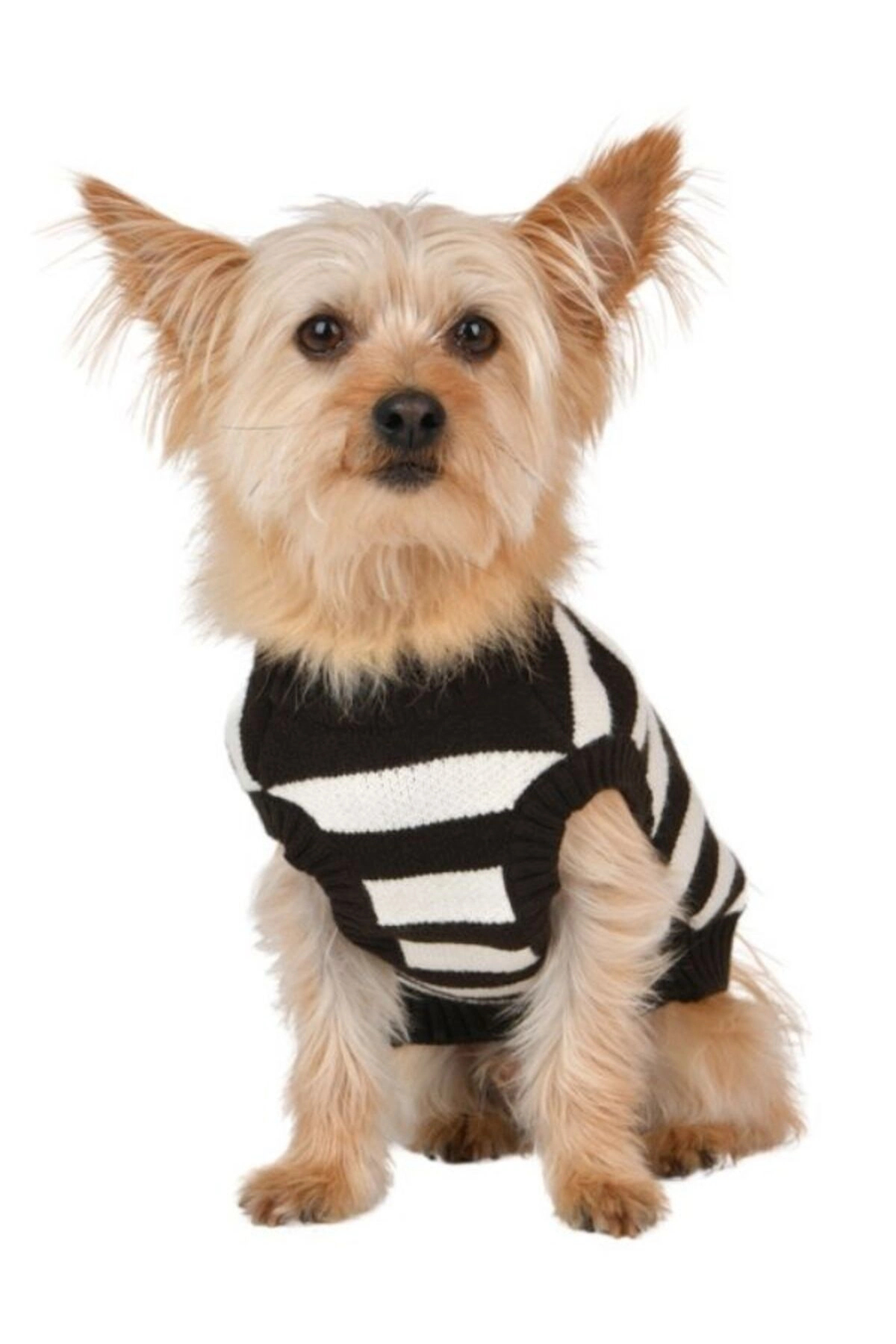 لباس سگ Ollie خاکستری، پوپیا Puppia، مدل PAWD-TS6491