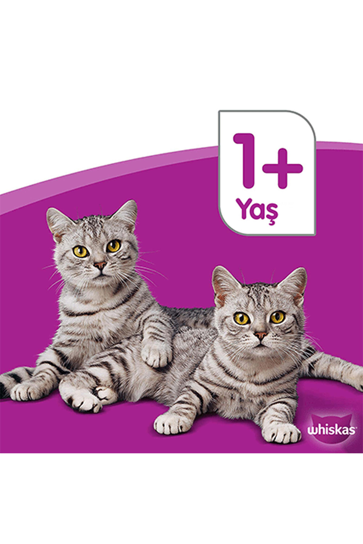غذای کنسروی تر گربه ویسکاس Whiskas، تن ماهی، گوشت گاو و مرغ، ۱۲ قوطی ۴۰۰ گرمی