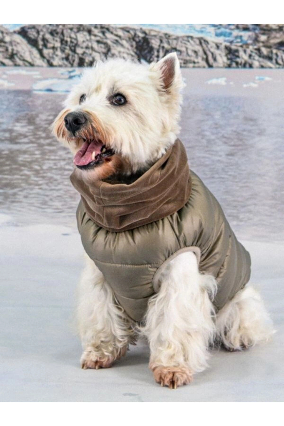 جلیقه پافر سگ پوپیا Puppia مدل Glacier Snood، قهوه‌ای