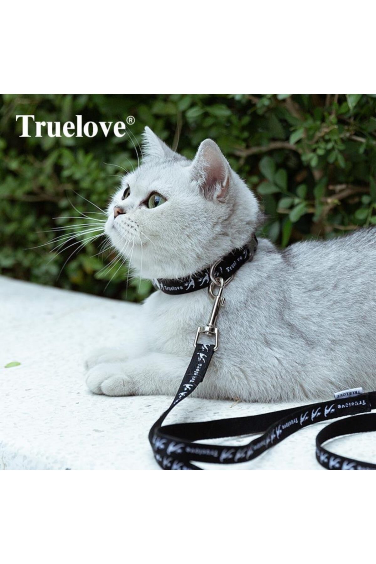 قلاده و بند زنگوله‌دار و بادوام گربه ترو لاو True Love مشکی، مدل SKEBT-001