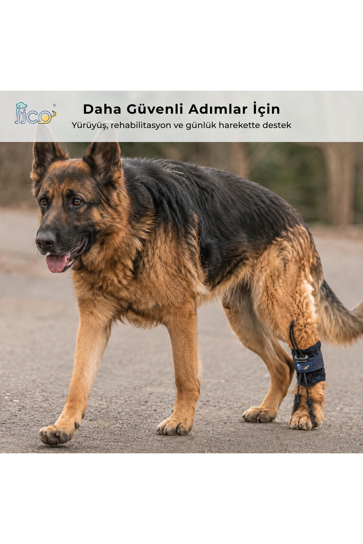 محافظ انگشت و پنجه سگ فیکو پتس Fico Pets، مدل KB، سرمه‌ای