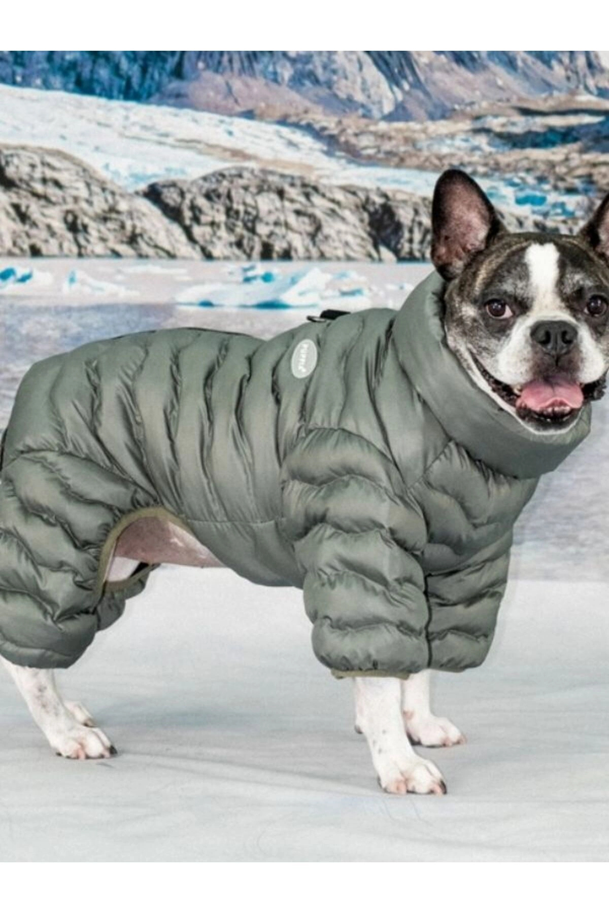 کاپشن سگ پوپیا Puppia مدل Wavy Puffer Suit، خاکی