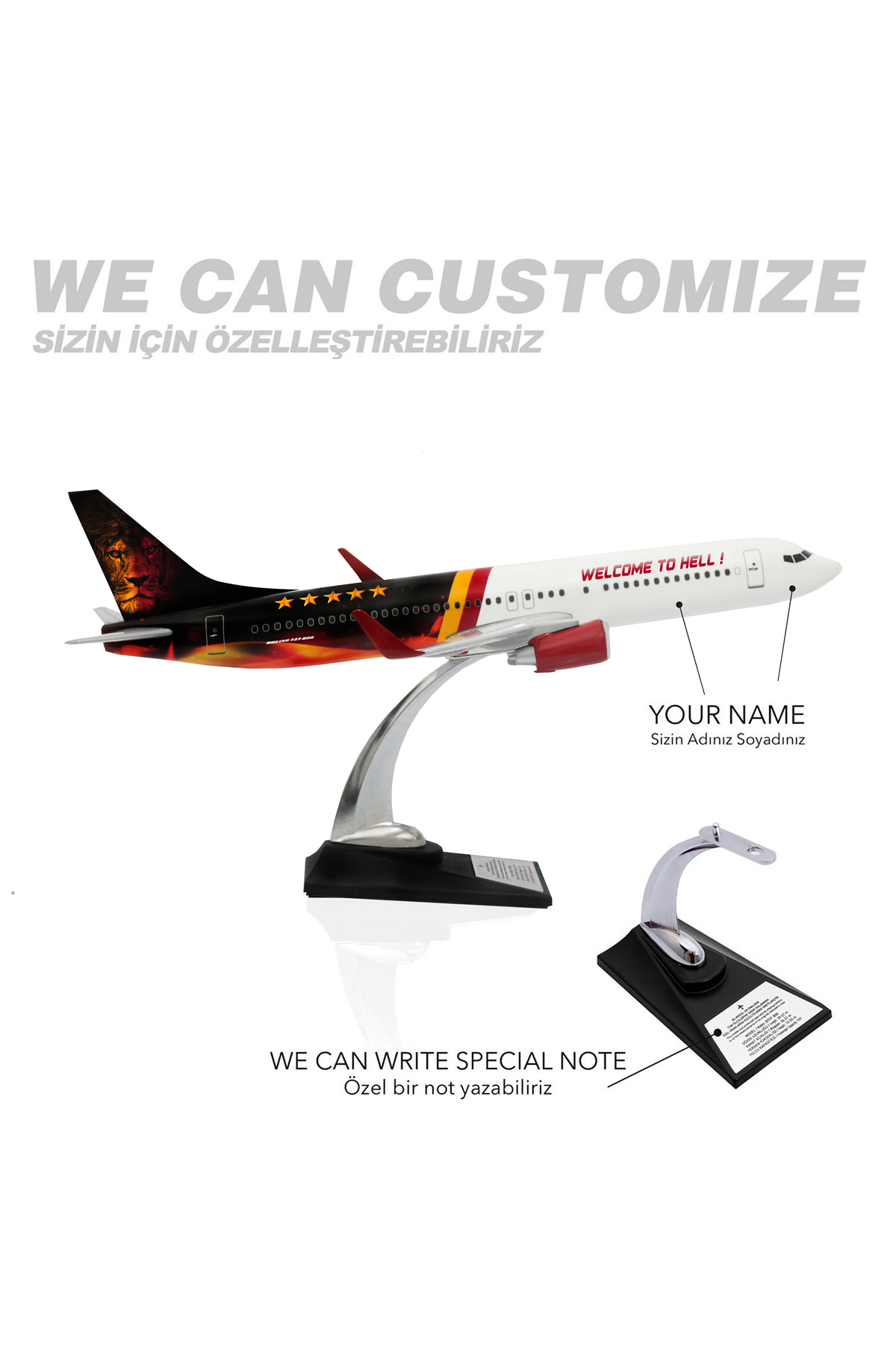 مدل خودرو BOEING 737 800 1 100 SCALE به هواپیمای طراحی جهنمی خوش آمدید اورجینال zekupp