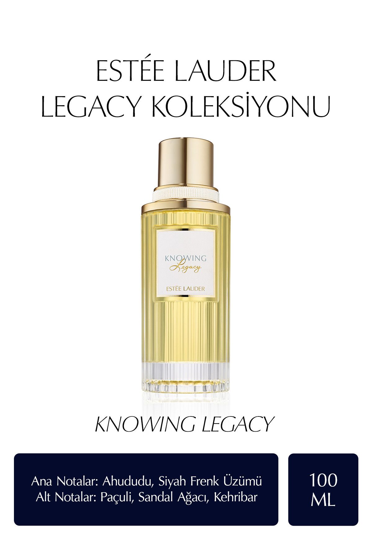 عطر زنانه دانستن ادوپرفیوم 100 میل مجموعه میراث Estee Lauder