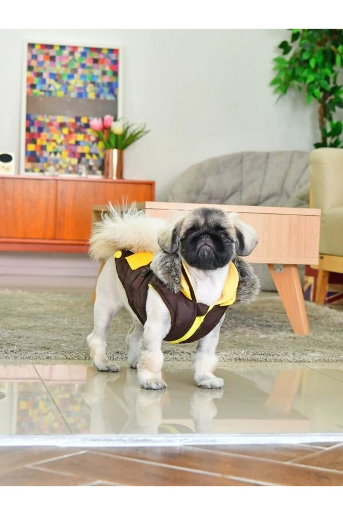 کاپشن سگ Orson پاپیا Puppia، قهوه‌ای، مدل PARD-VT1569