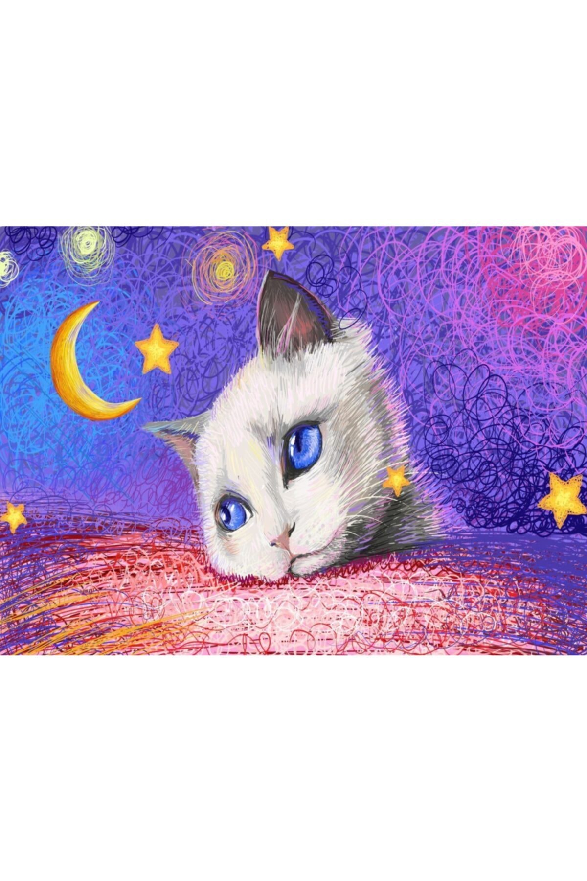 پازل 1000 تکه نوا زیر ستاره ها گربه سفید از ترکیه Nova Puzzle