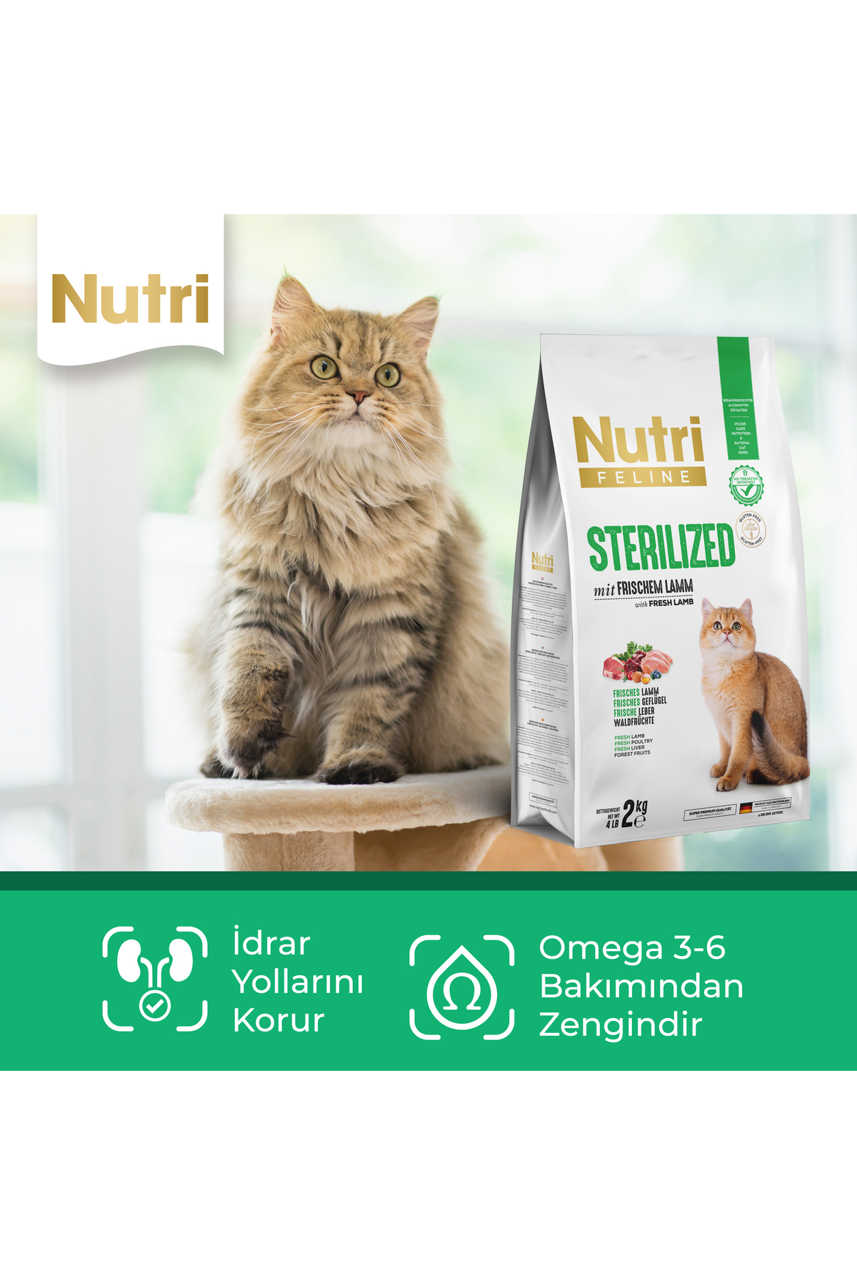 غذای خشک گربه عقیم‌شده نوتری فِلین nutrifeline Nutri Feline با طعم بره، ۲ کیلوگرم
