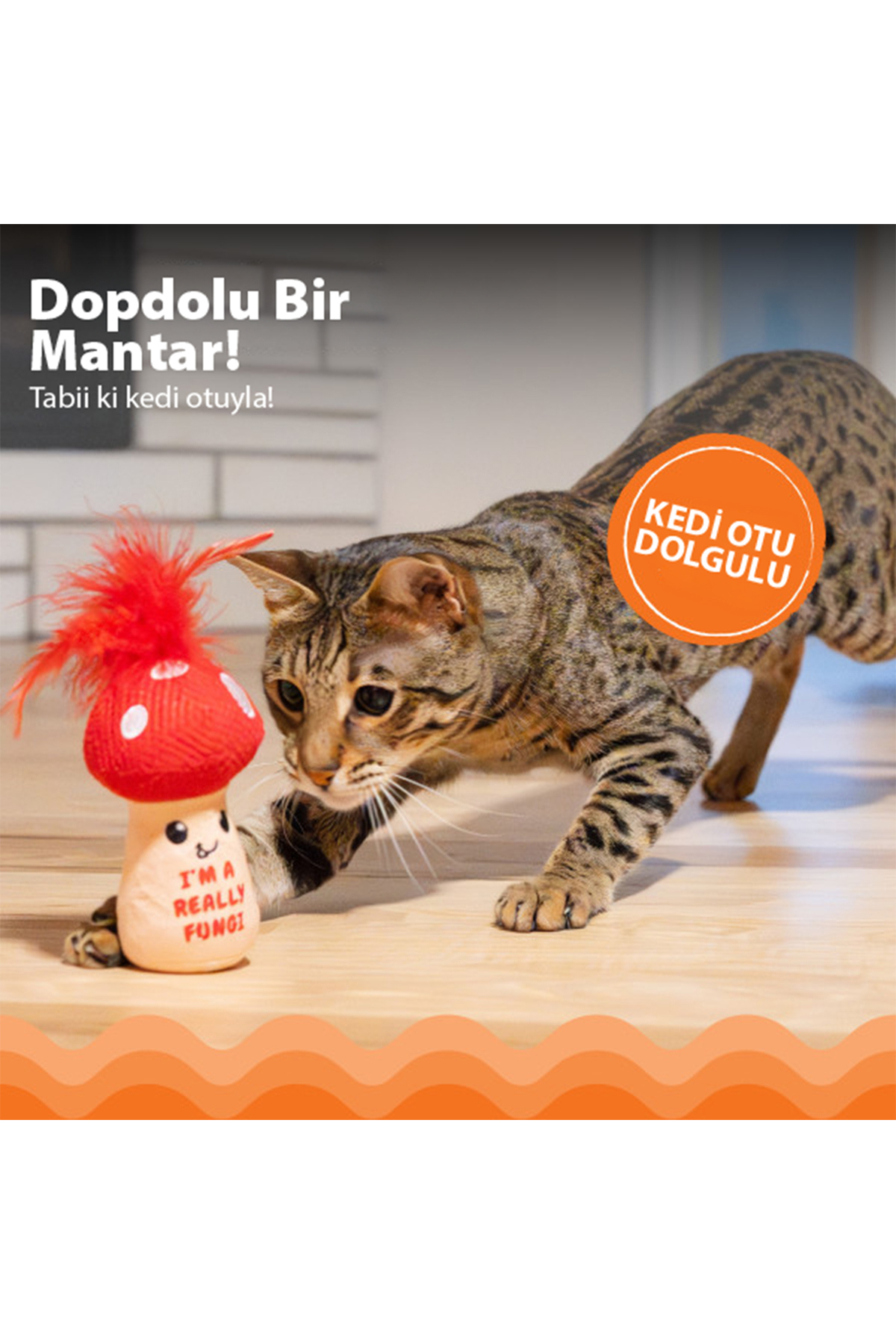 اسباب‌بازی قارچی گربه Catstages Really Fungi کت‌نیپی، اوت‌وارد هاوند Outward Hound چندرنگ