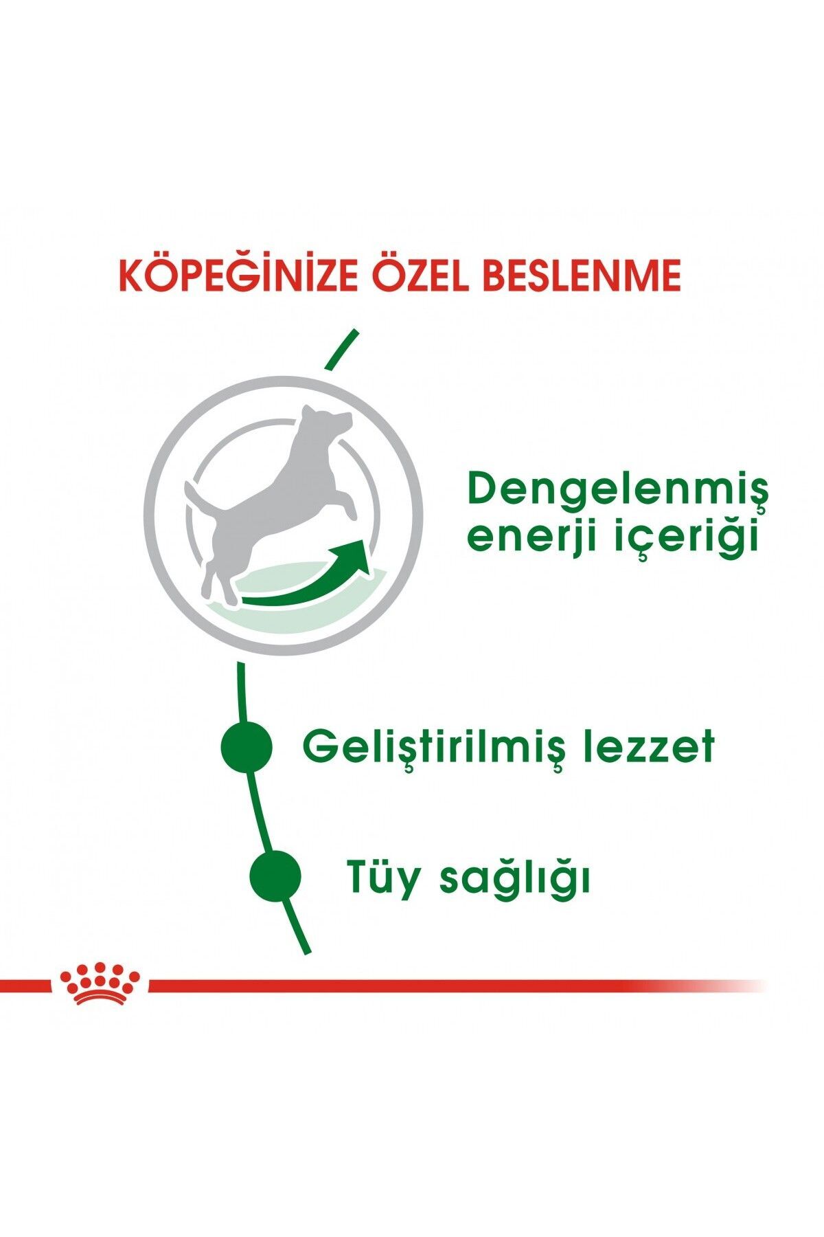 غذای خشک سگ بالغ نژادهای کوچک رویال کنین Royal Canin Mini Adult، ۴ کیلوگرم