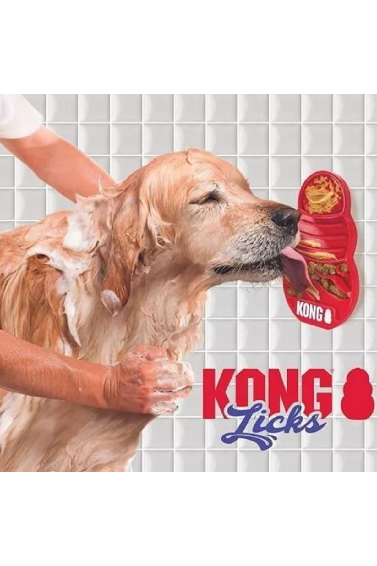 اسباب‌بازی تشویقی مایع سگ کنگ Kong Licks، سایز Large، چندرنگ