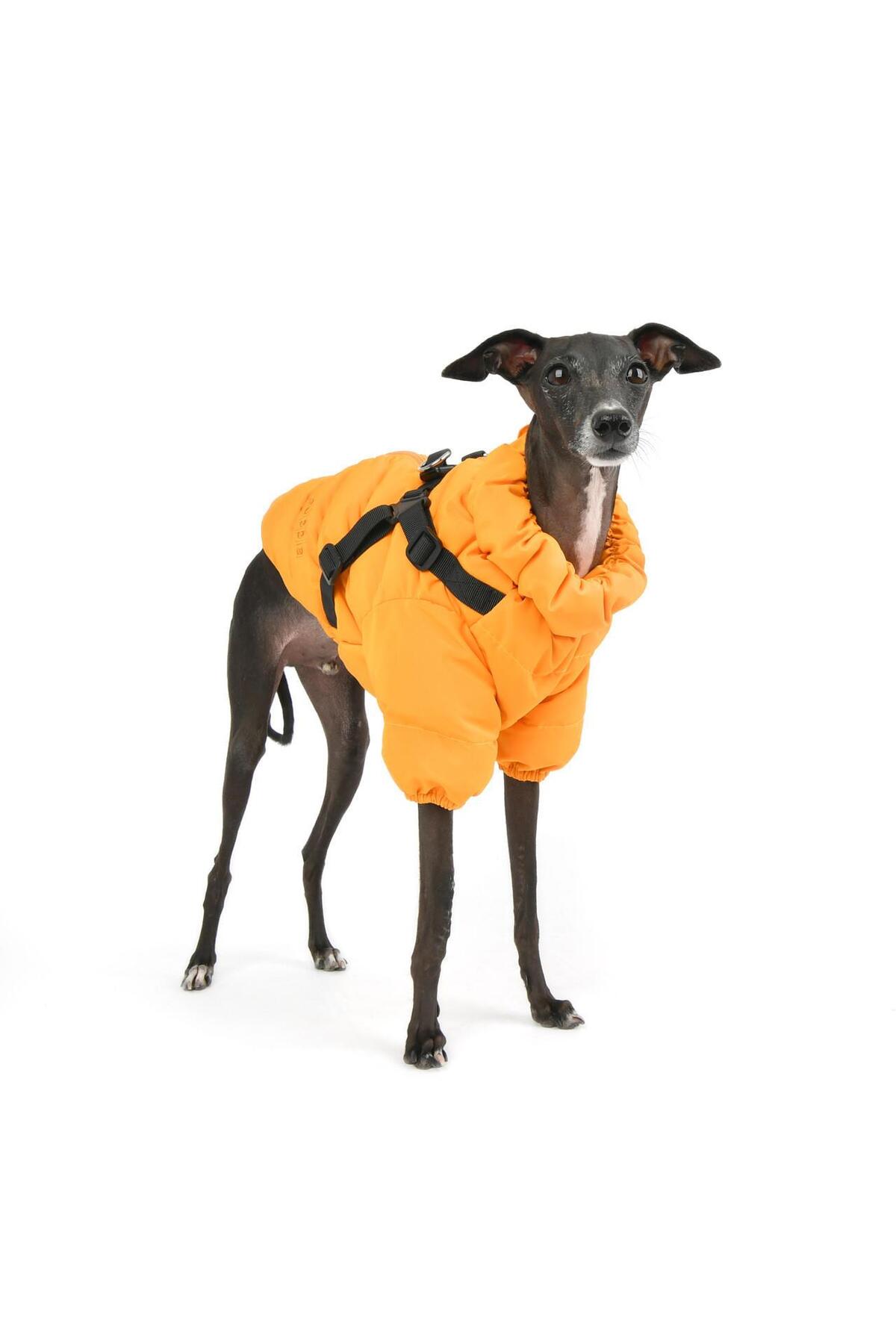 کاپشن سگ هارنس‌دار پوپیا Puppia Soft Jumper