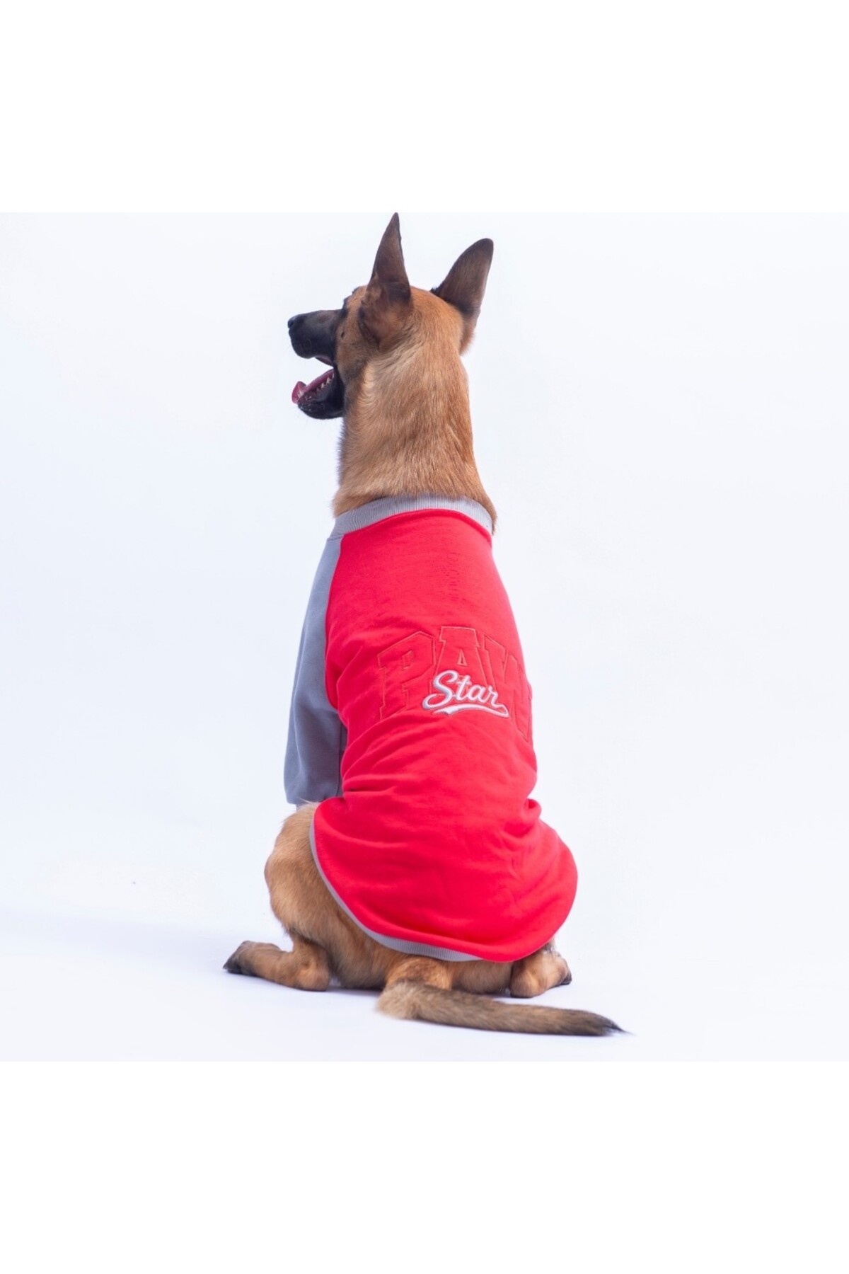 سویشرت سگ پاواستار Pawstar مدل Boston، قرمز، مناسب نژادهای متوسط تا بزرگ