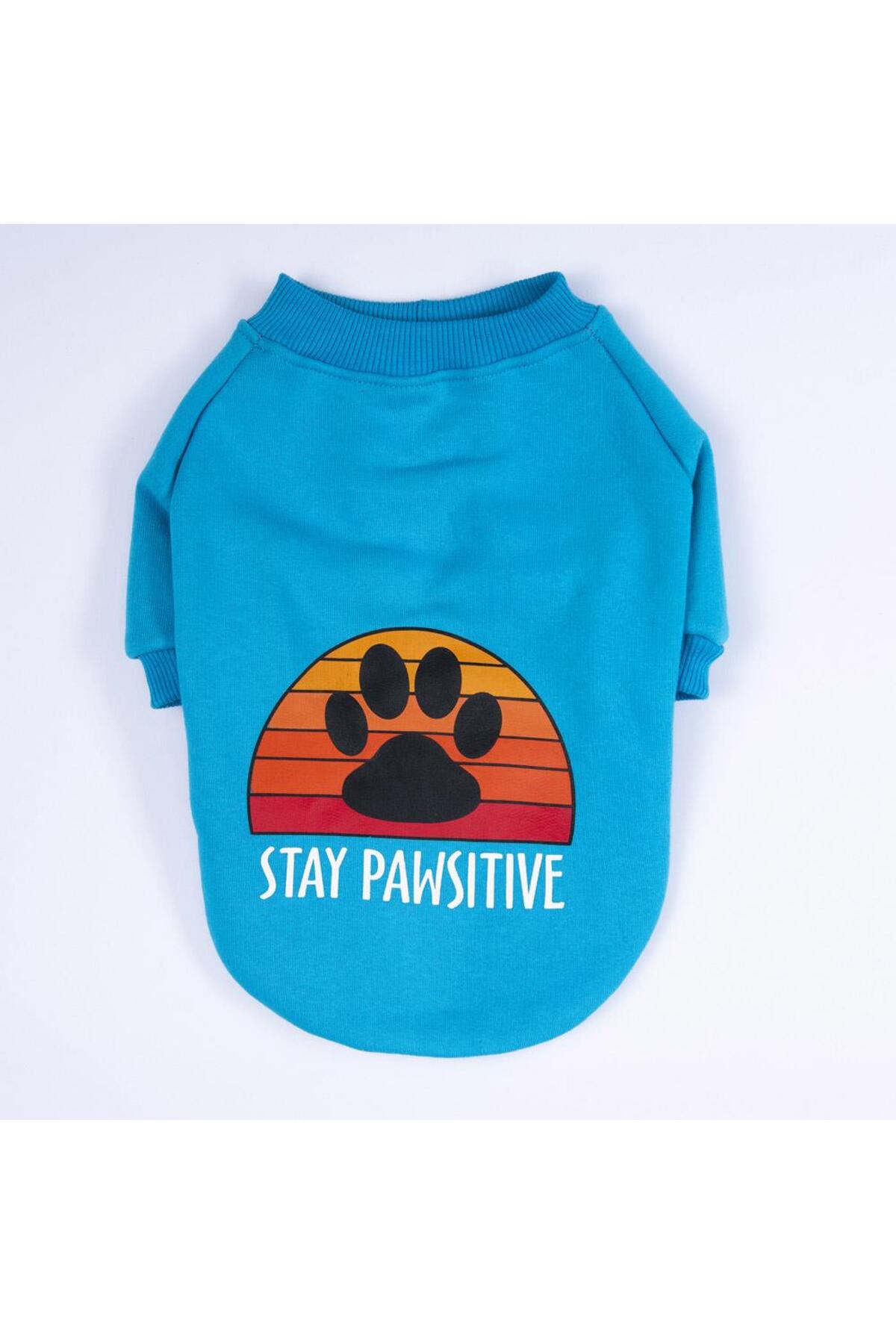 لباس سویشرت سگ پاواستار Pawstar Carmel، فیروزه‌ای، مناسب نژادهای بزرگ