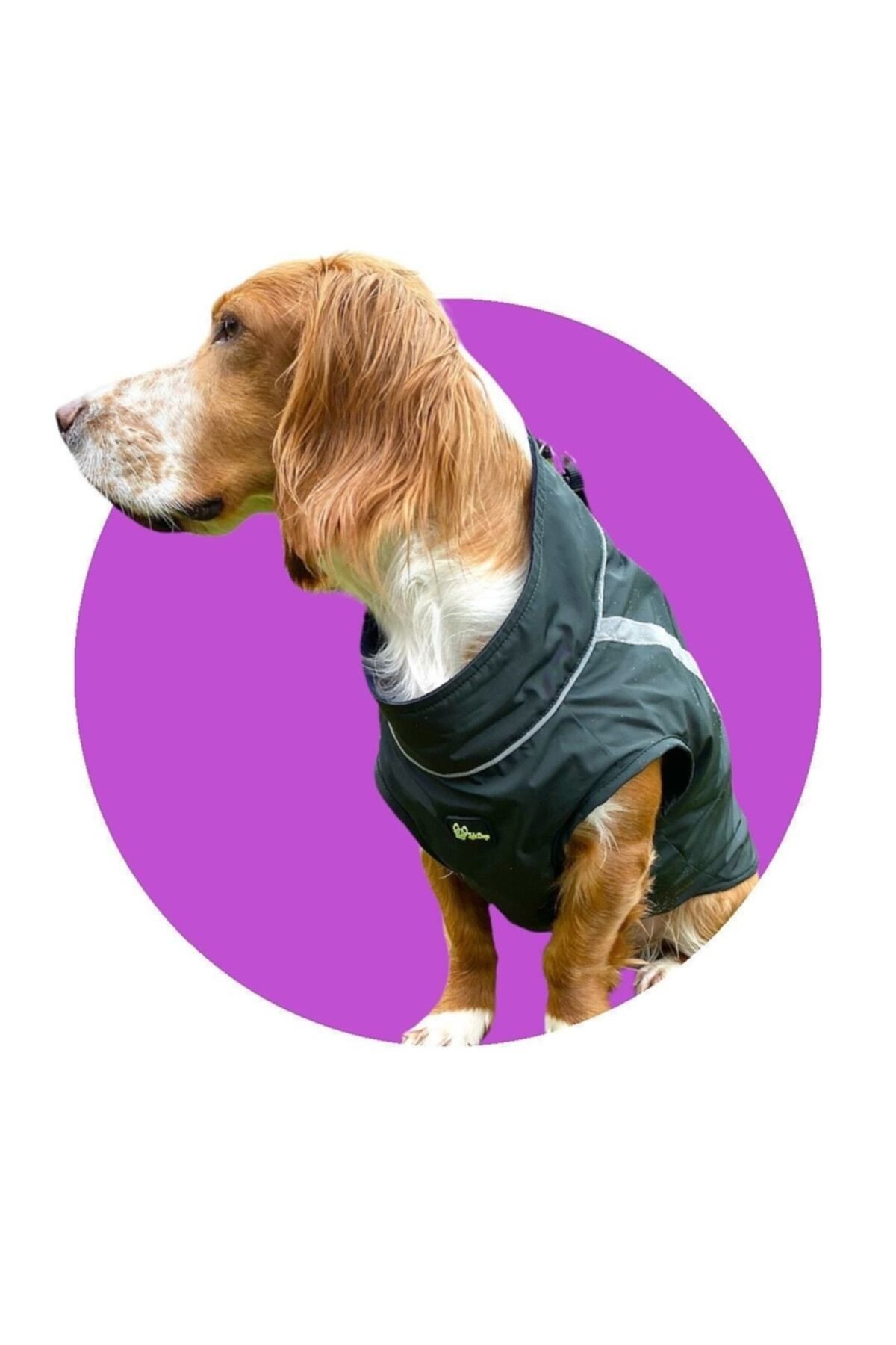 بارانی سگ زوبی داگز Zubi Dogs Zubirain مدل ZBR004 سبز