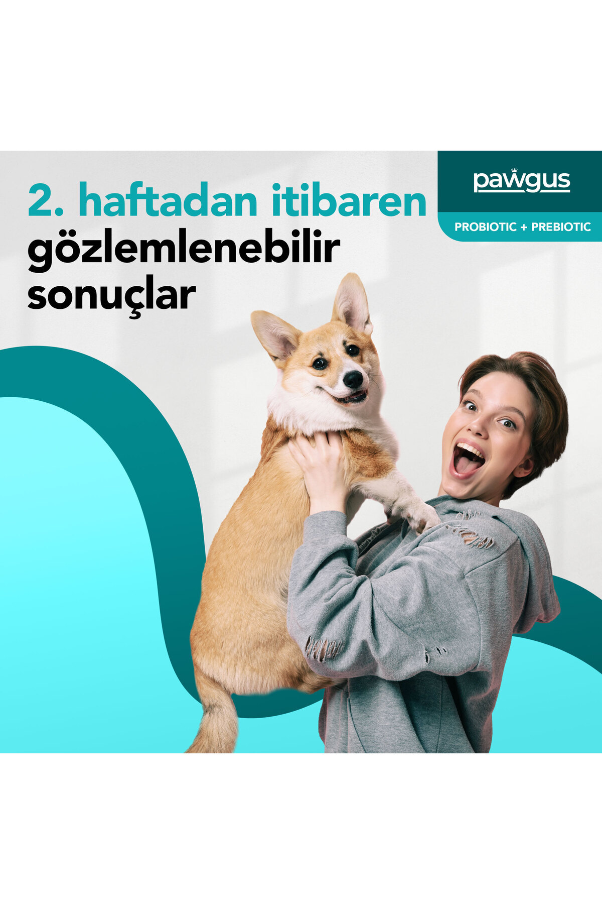 مکمل غذایی پروبیوتیک و پری‌بیوتیک سگ پاوگاس Pawgus، تنظیم‌کننده سیستم گوارش، ۳۰×۲ گرم